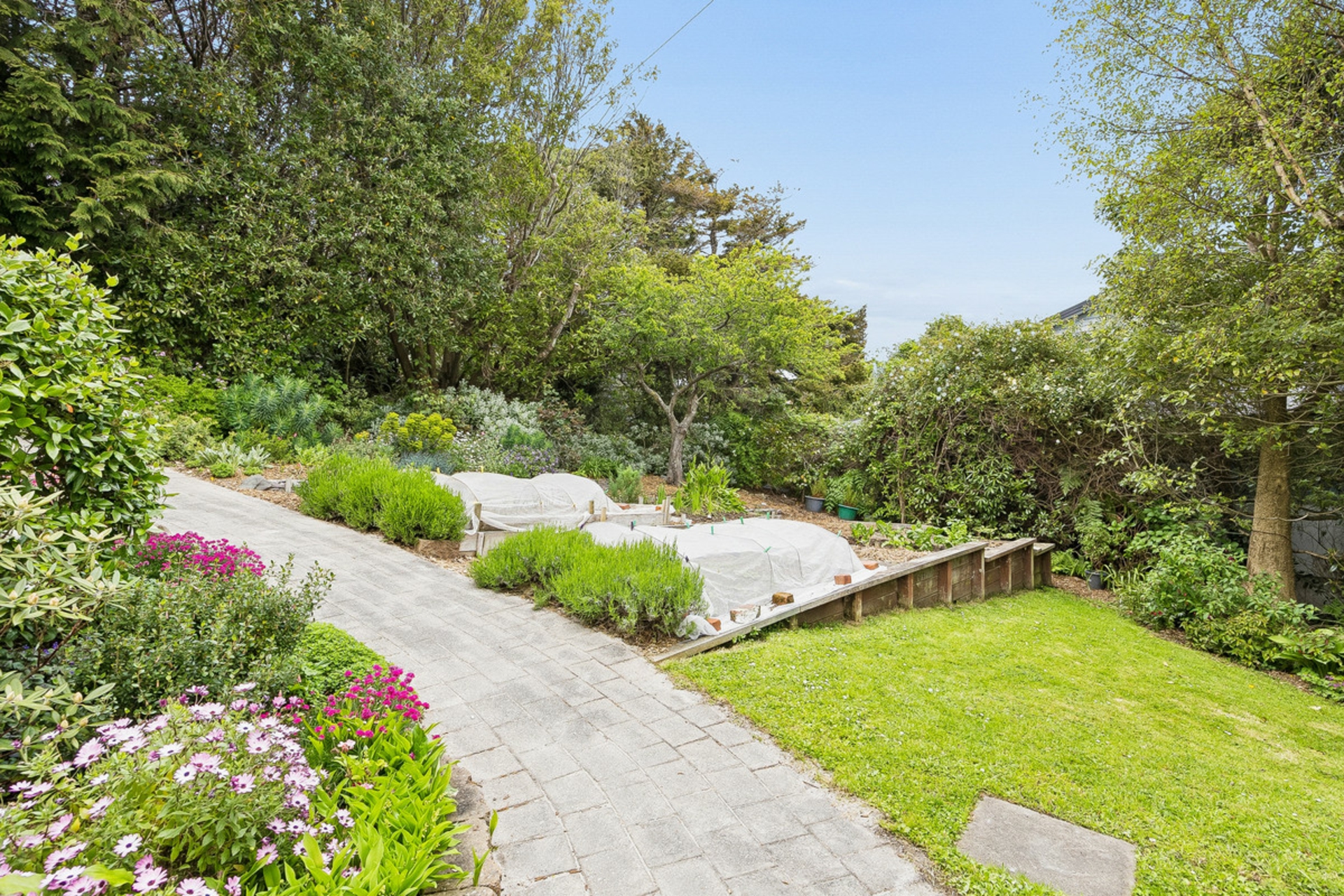 33 & 35 Merchiston Street, Andersons Bay Otago - House for Sale - LJ Hooker