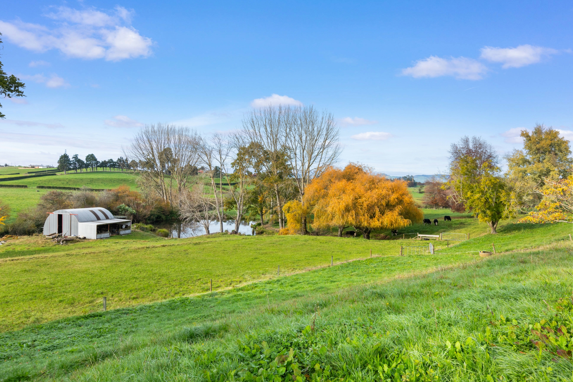 76b Scott Road, MORRINSVILLE