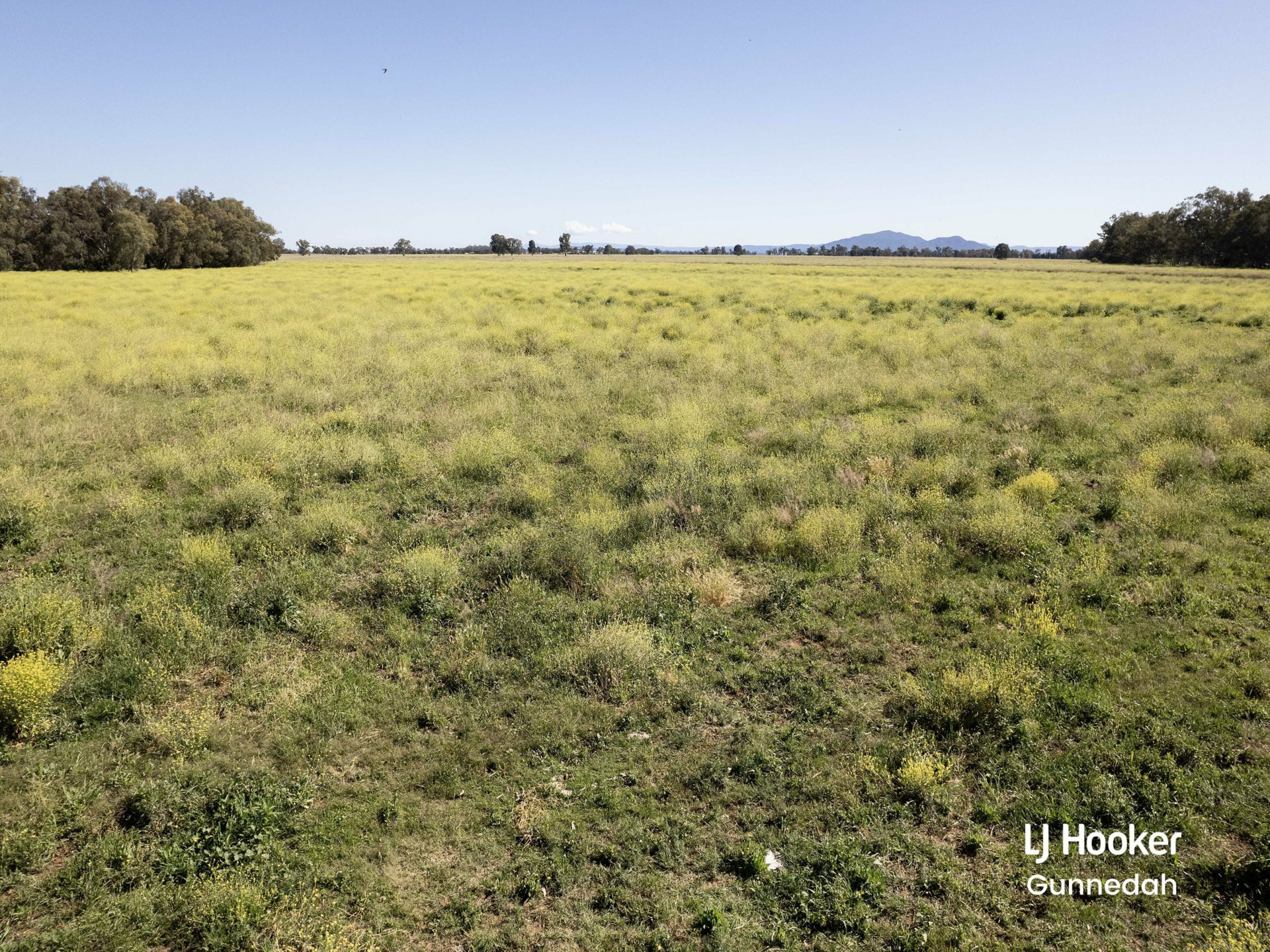 198 Kelvin Road, GUNNEDAH