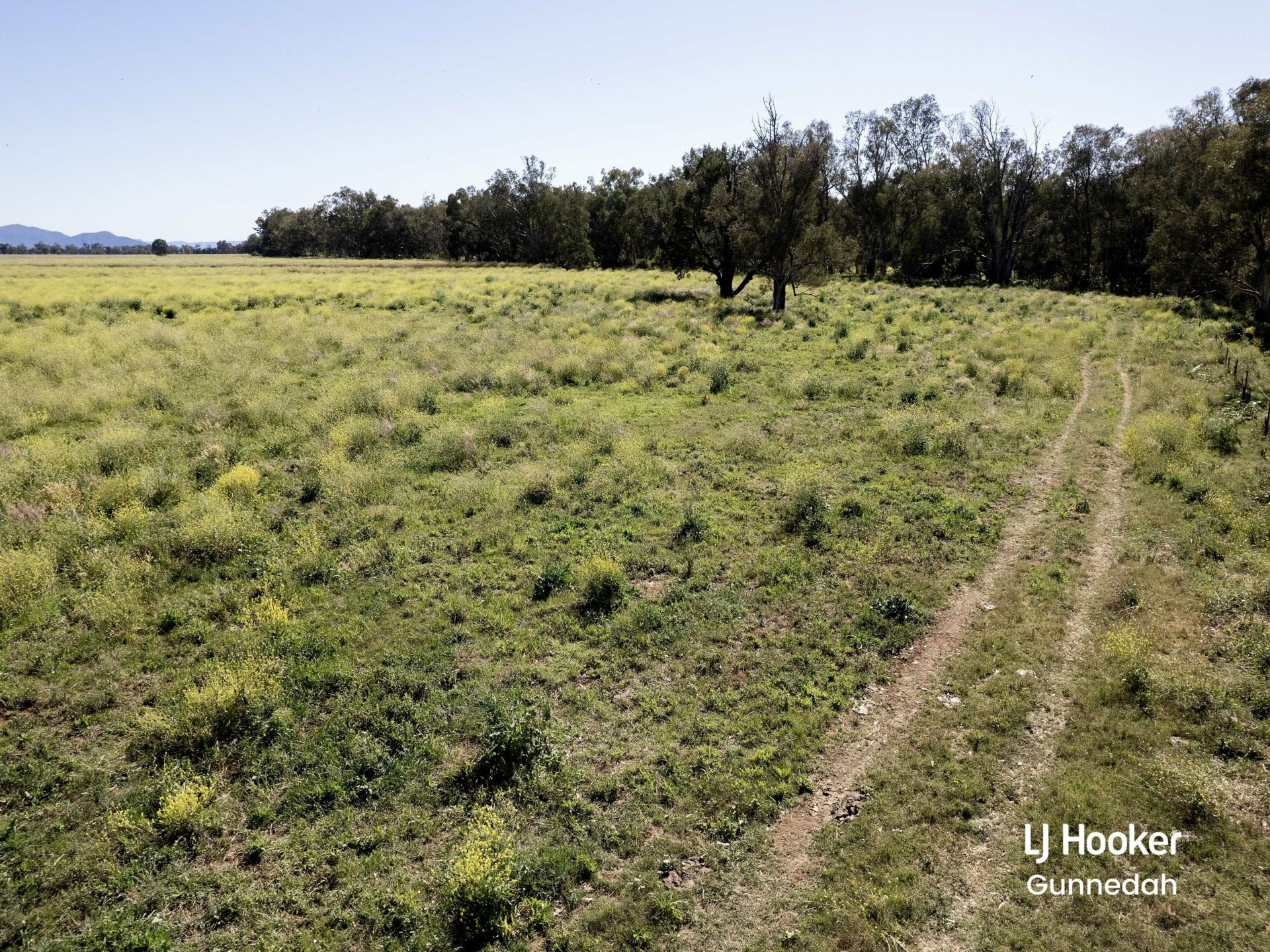 198 Kelvin Road, GUNNEDAH