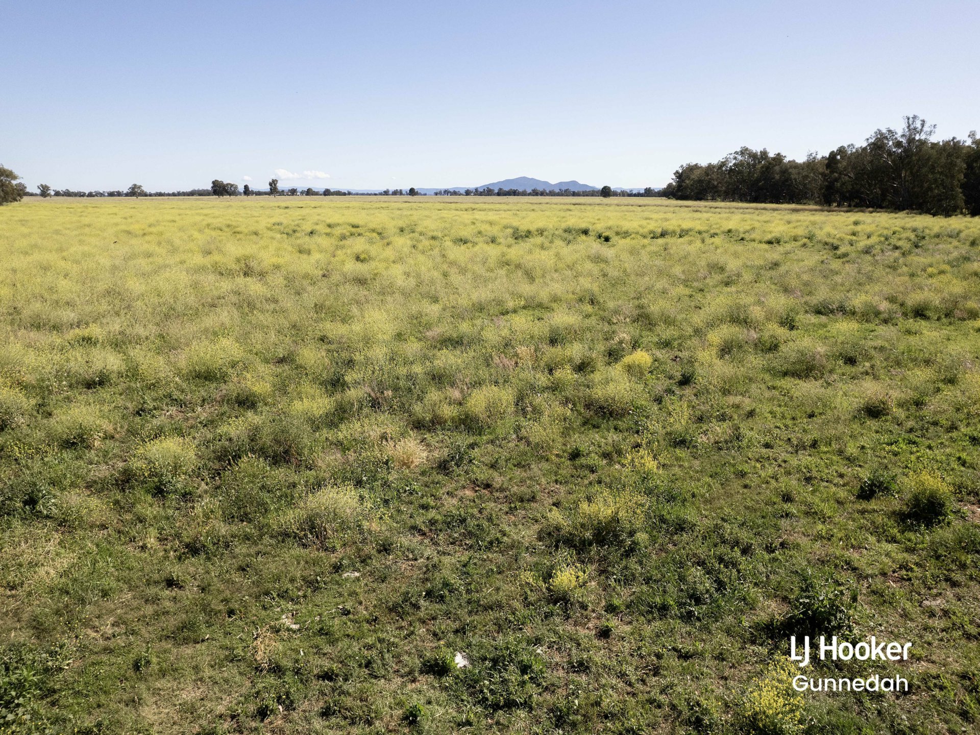 198 Kelvin Road, GUNNEDAH