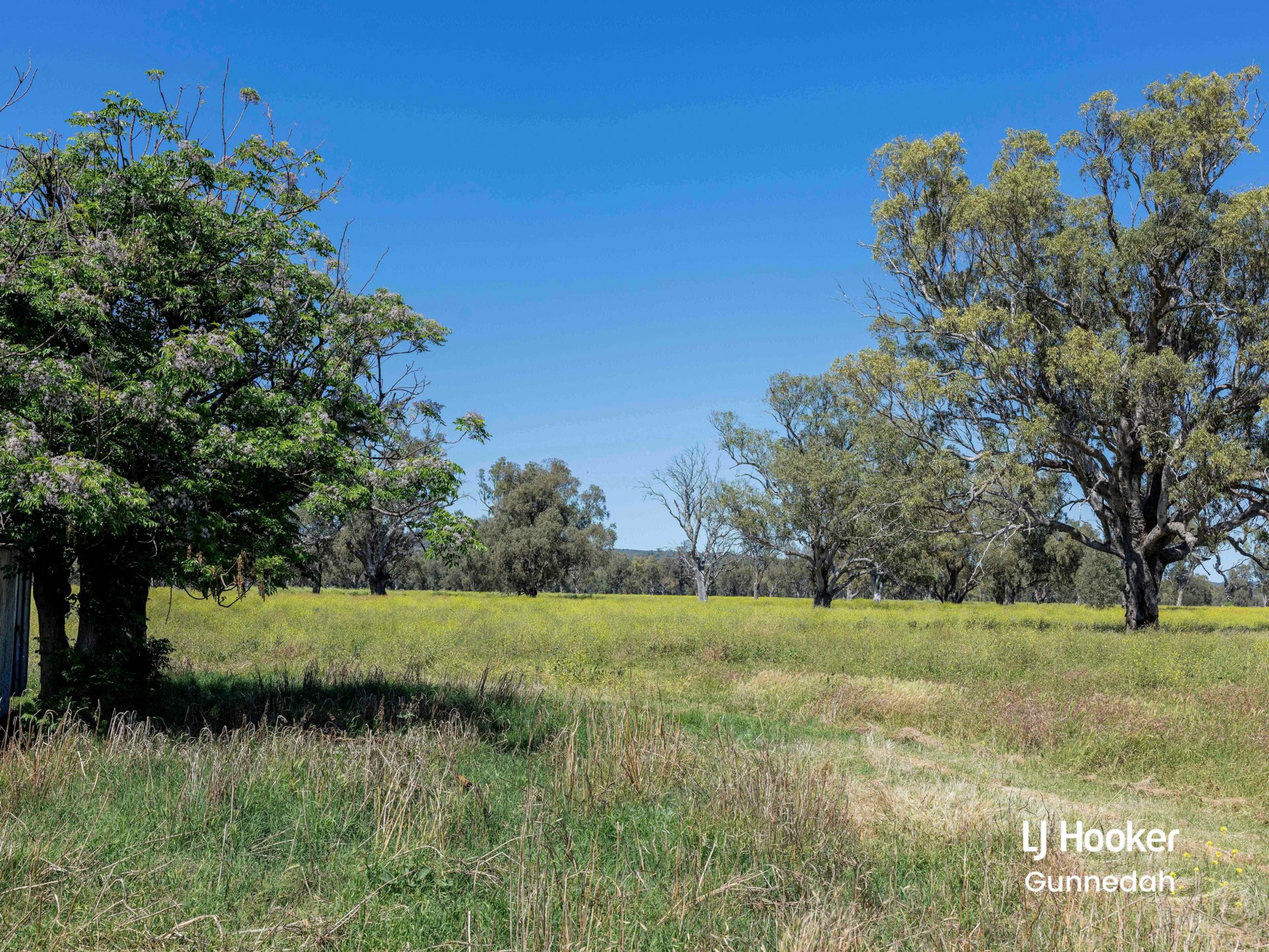 198 Kelvin Road, GUNNEDAH