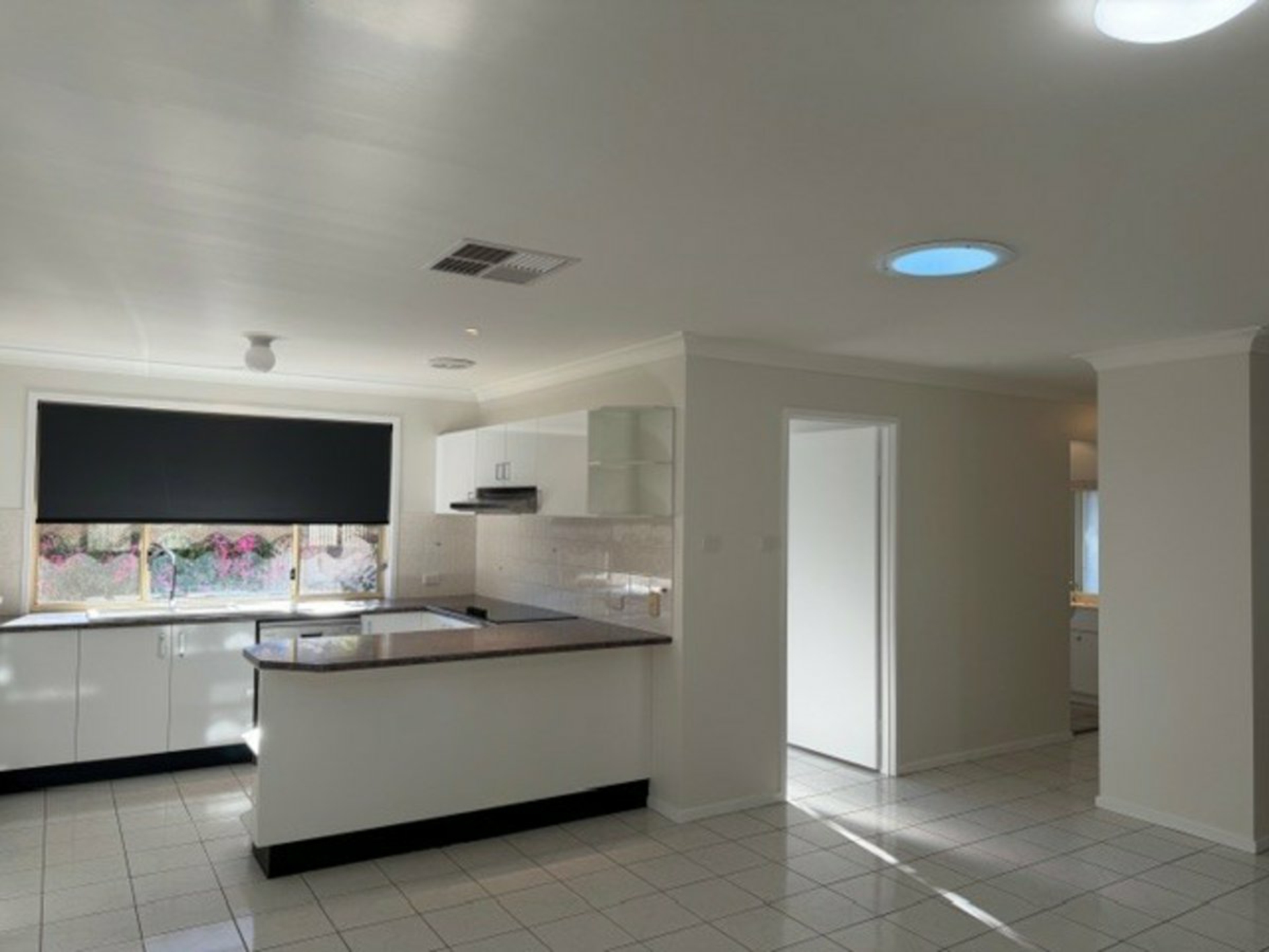 14 Wattle Street — photo 3 of 19