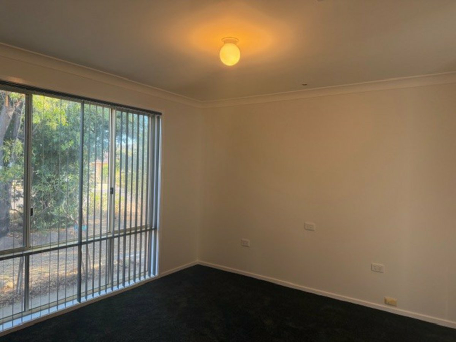 14 Wattle Street — photo 4 of 19