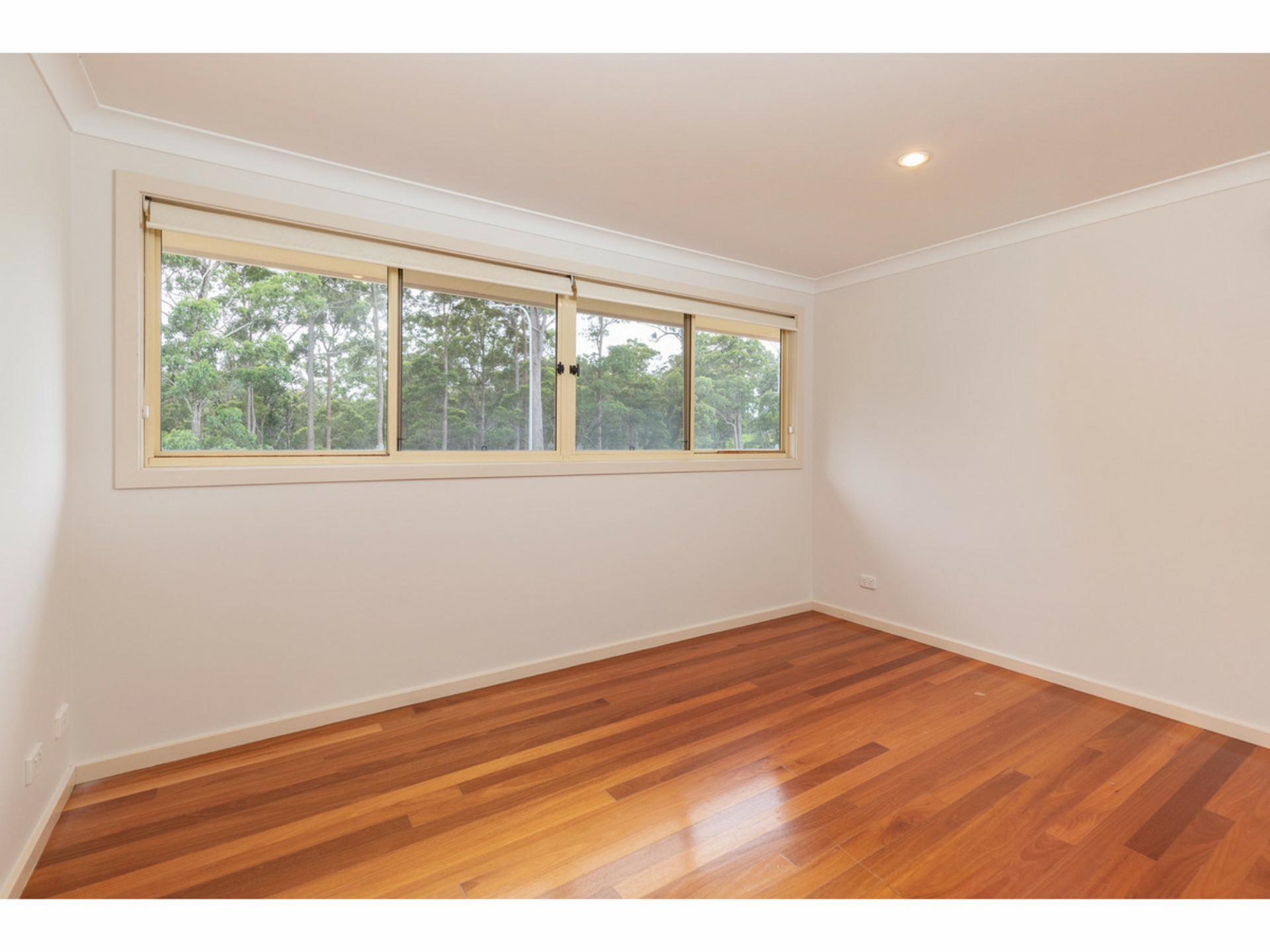 262 Tallwood Drive Tallwoods Village NSW Property Details LJ Hooker