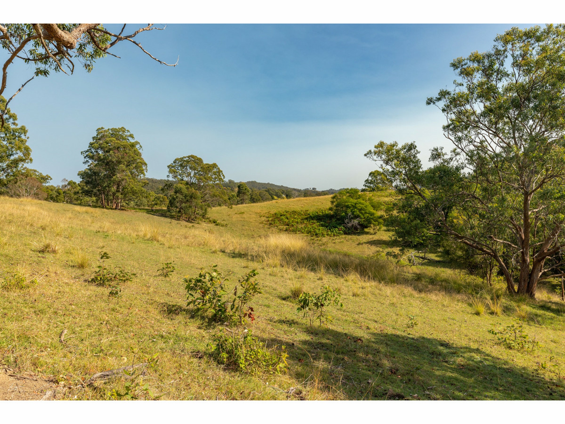 3773 The Bucketts Way, KRAMBACH