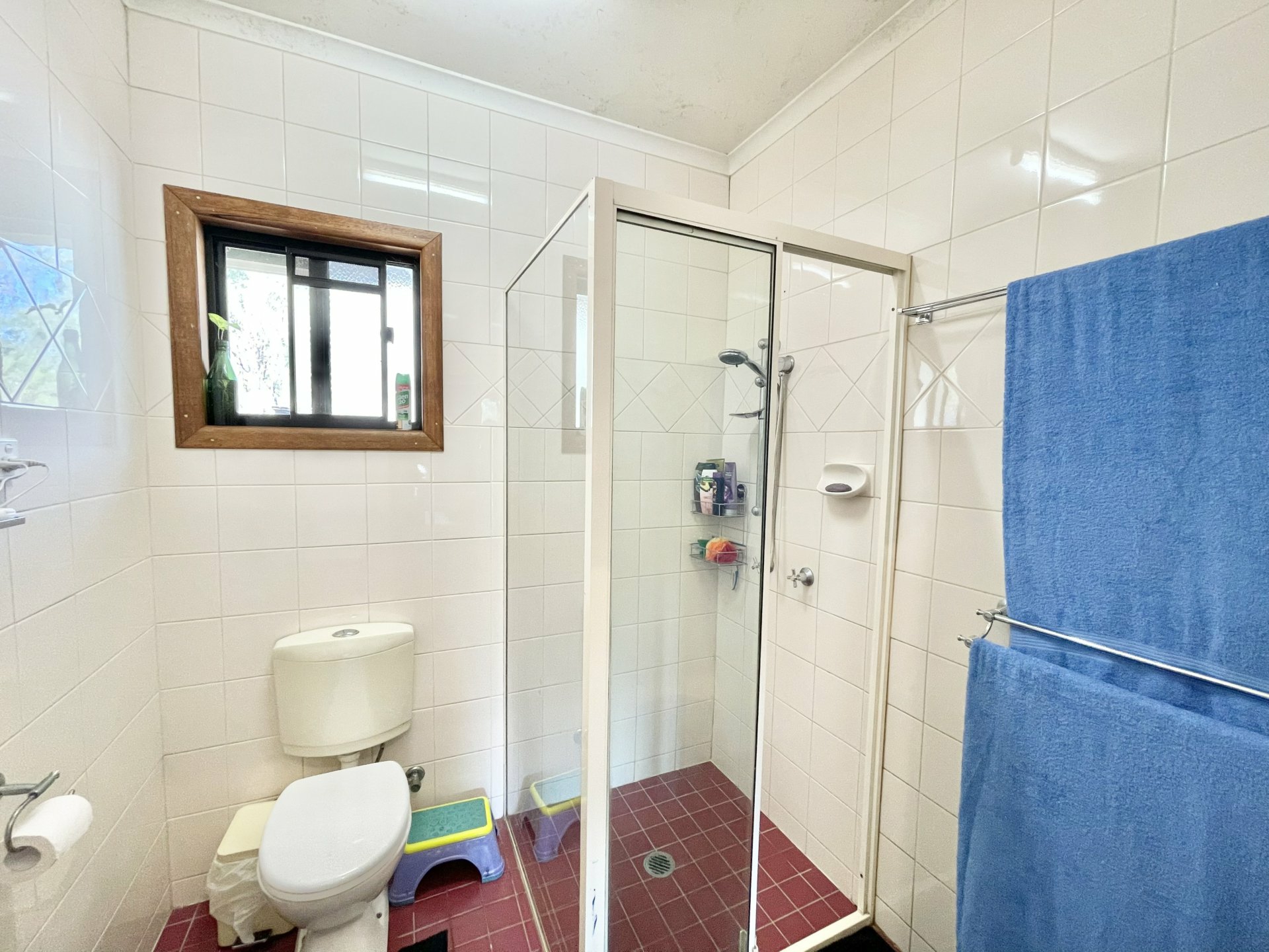 31 Wattle Court, MIRIAM VALE
