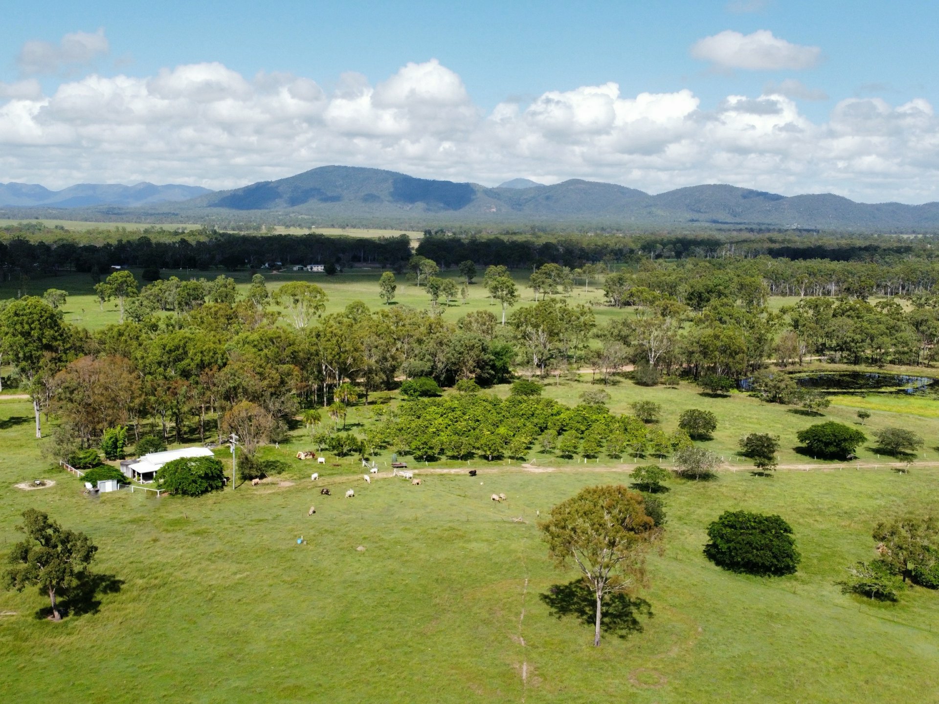 404 Turkey Beach Road Turkey Beach QLD AcreageSemirural for Sale