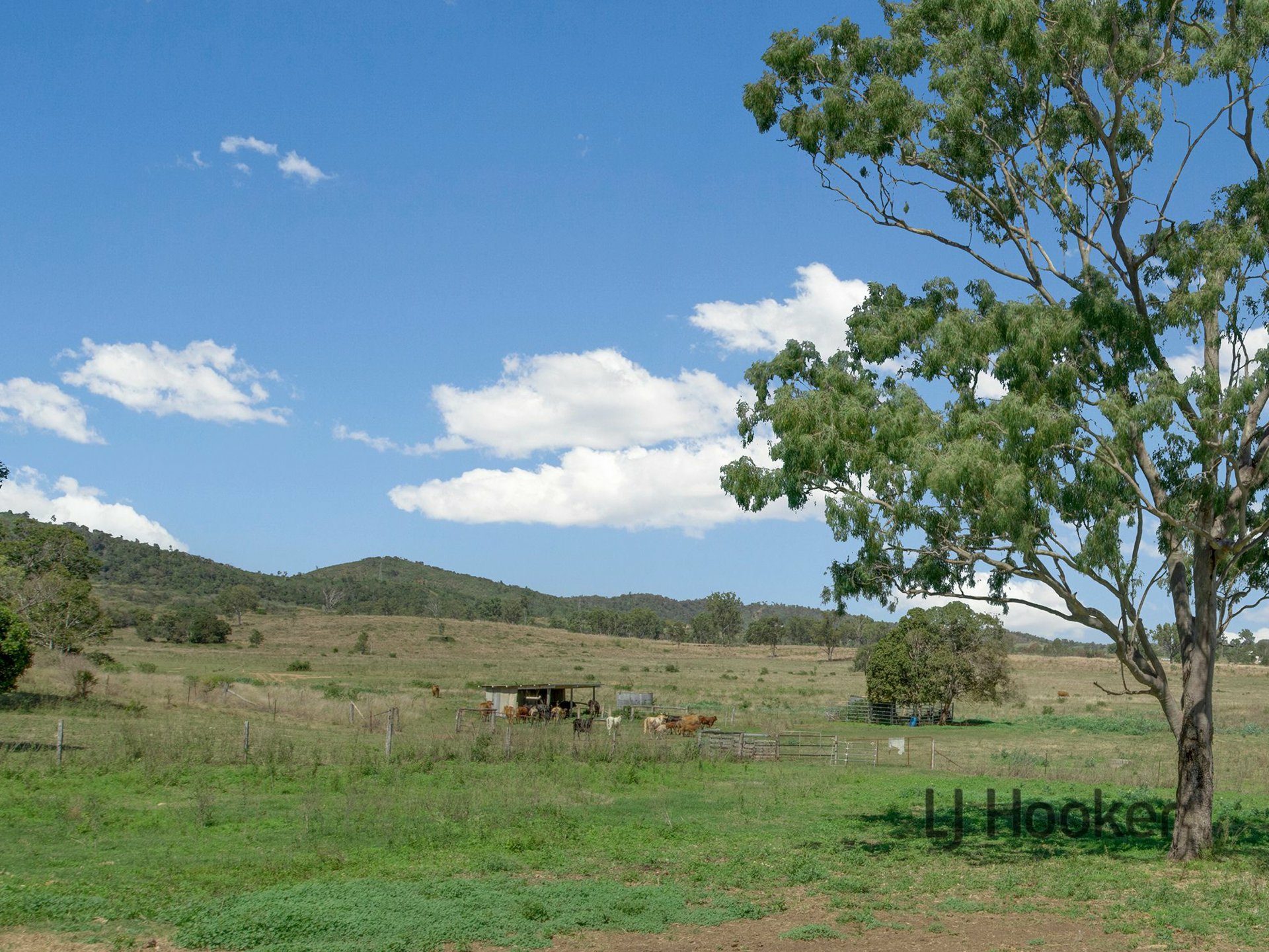 229 Potters Road, WOODERSON