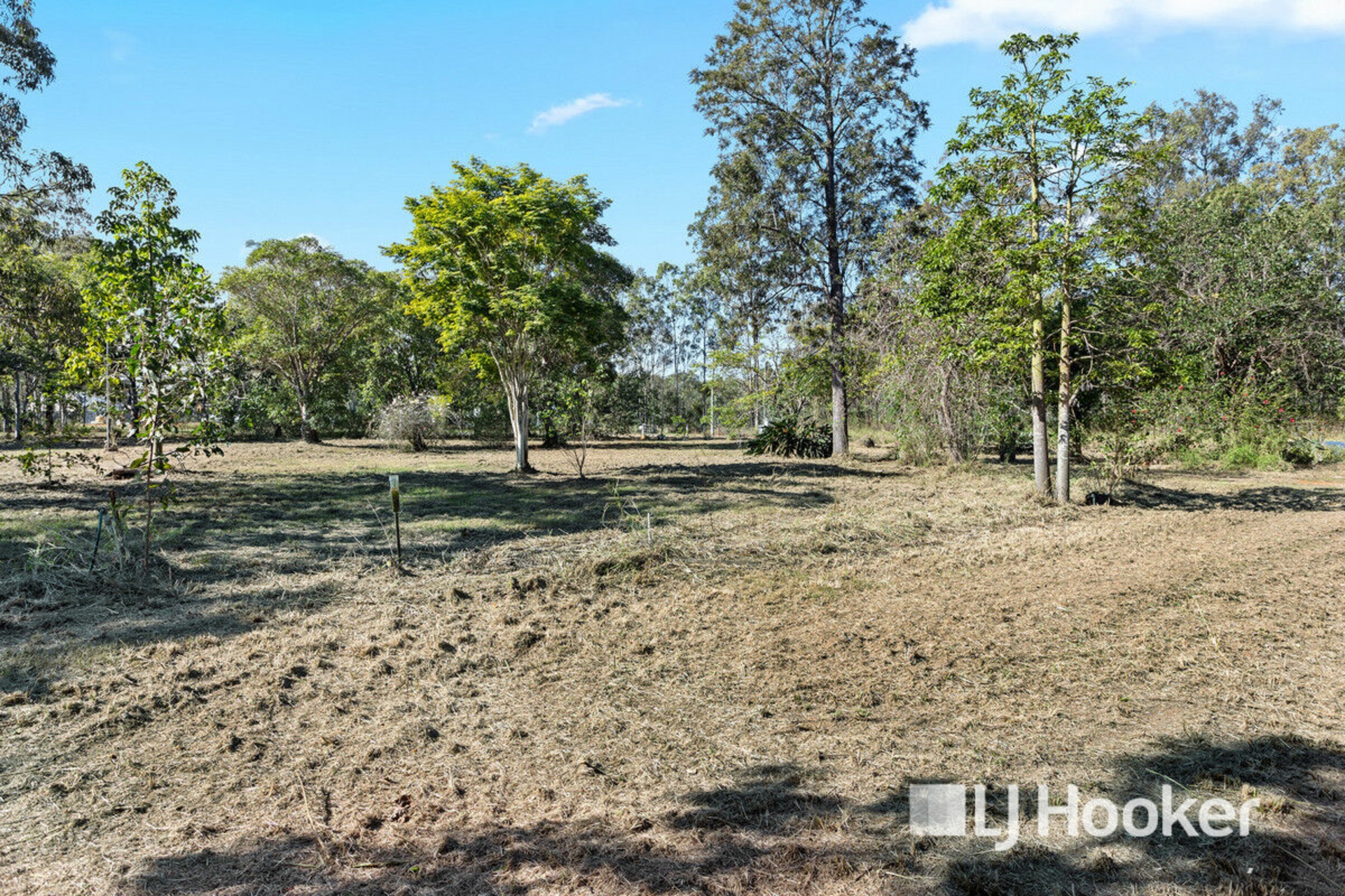 339 Larsens Road — photo 10 of 25