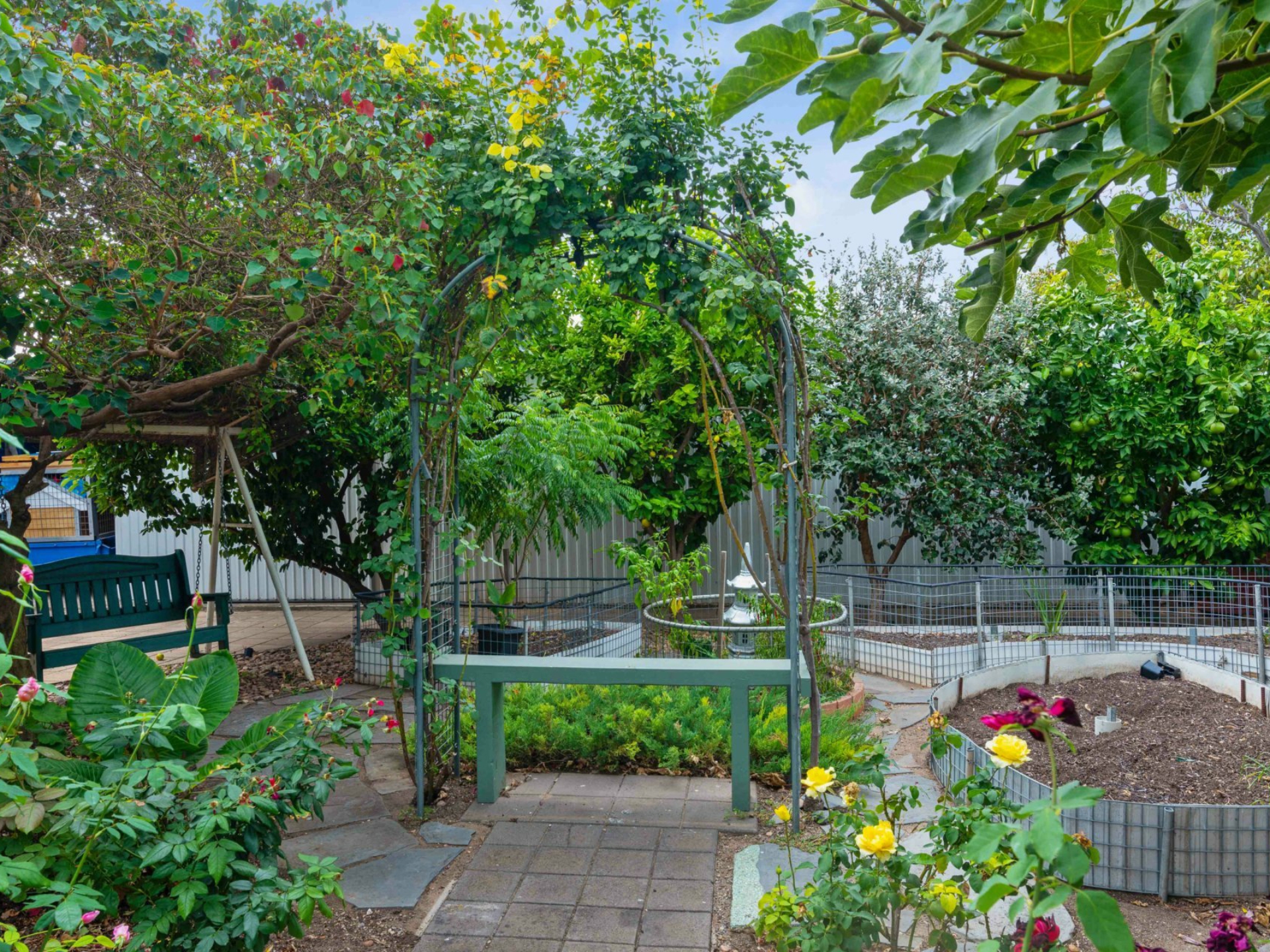 6 Young Avenue, WEST HINDMARSH