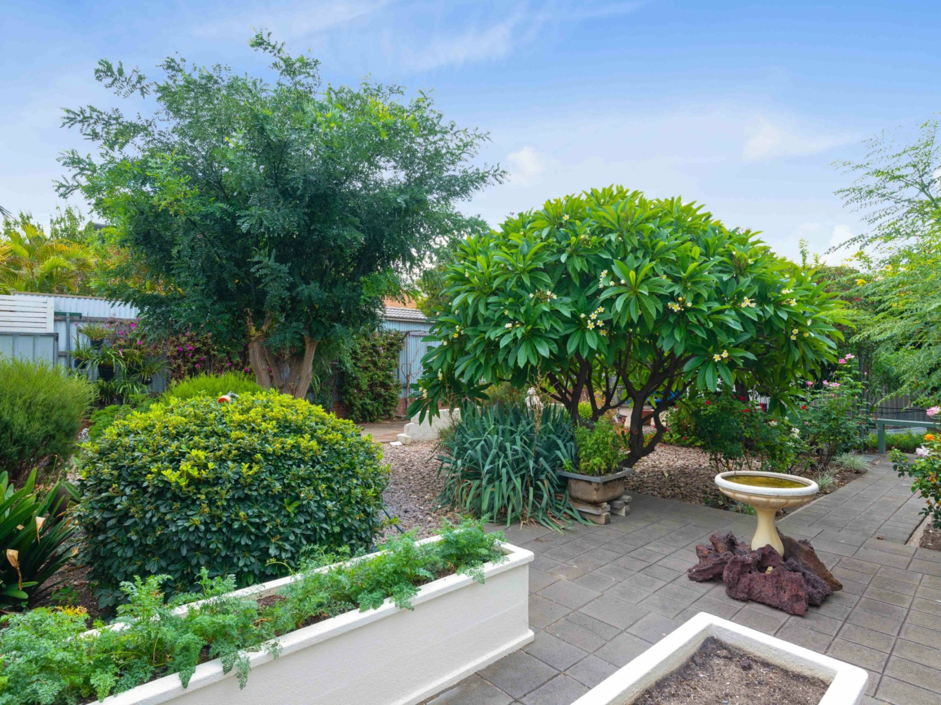 6 Young Avenue, WEST HINDMARSH