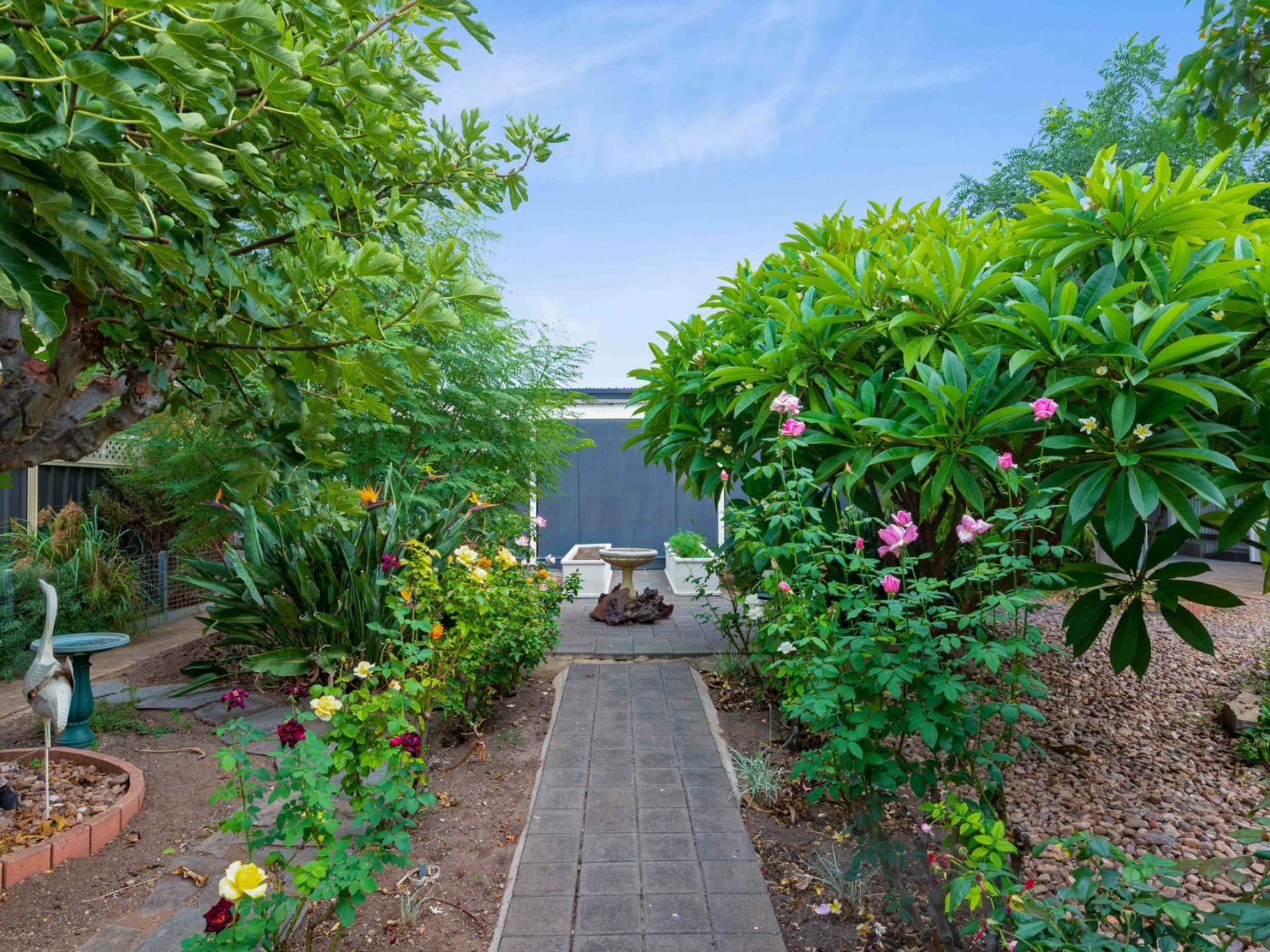 6 Young Avenue, WEST HINDMARSH