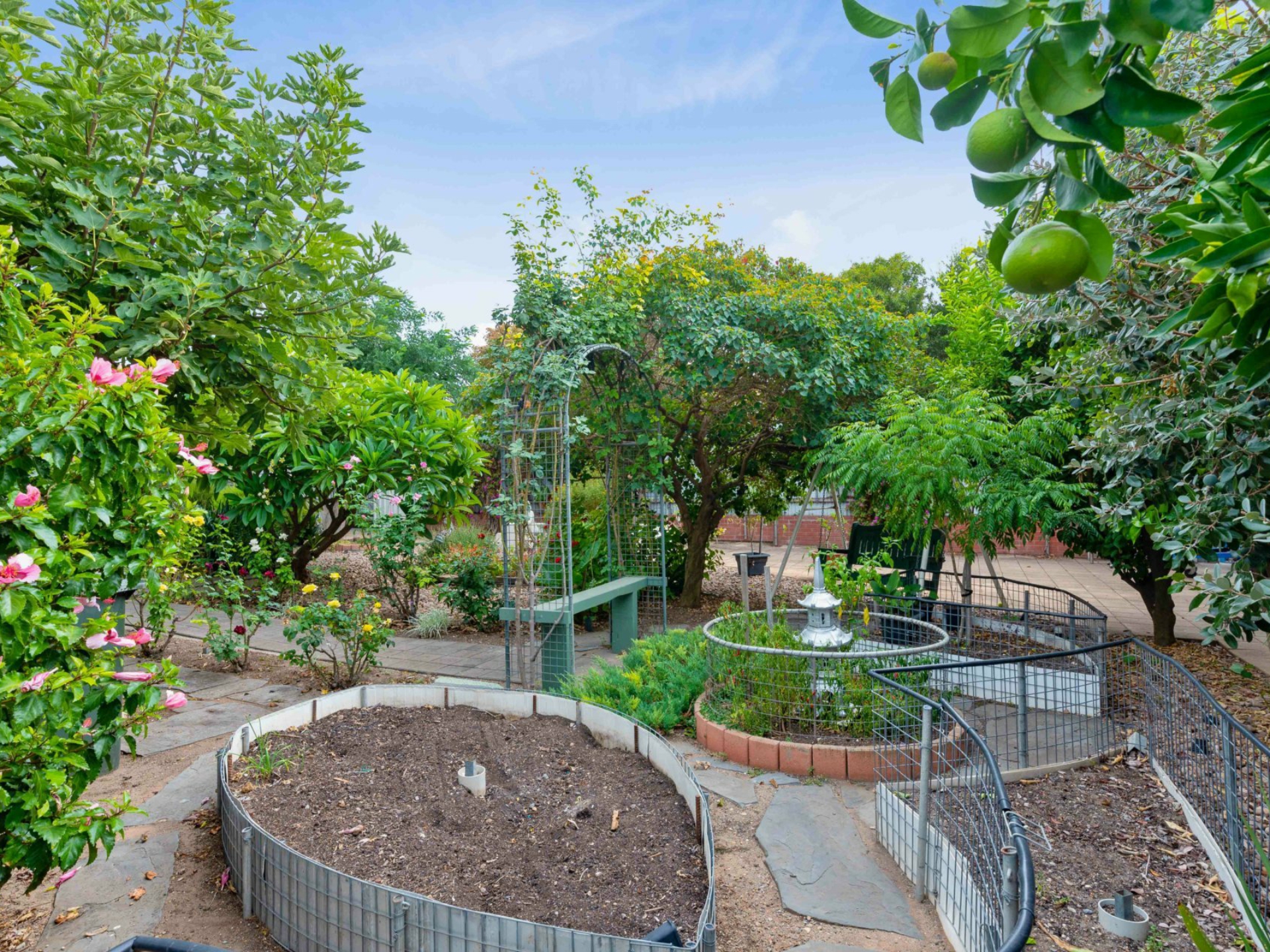 6 Young Avenue, WEST HINDMARSH