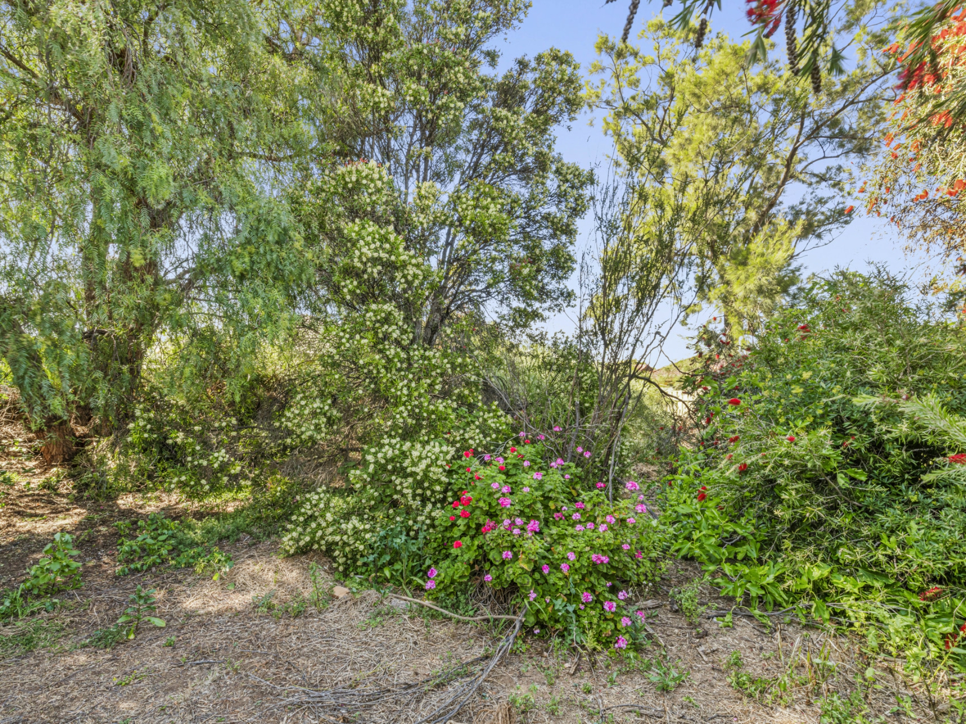 13 Matheson Avenue, FINDON