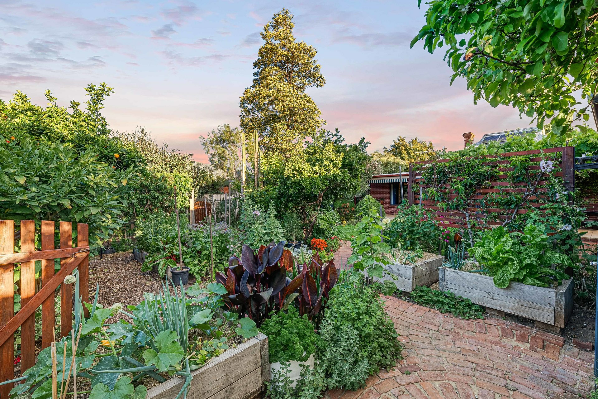 62 Darebin Street, MILE END