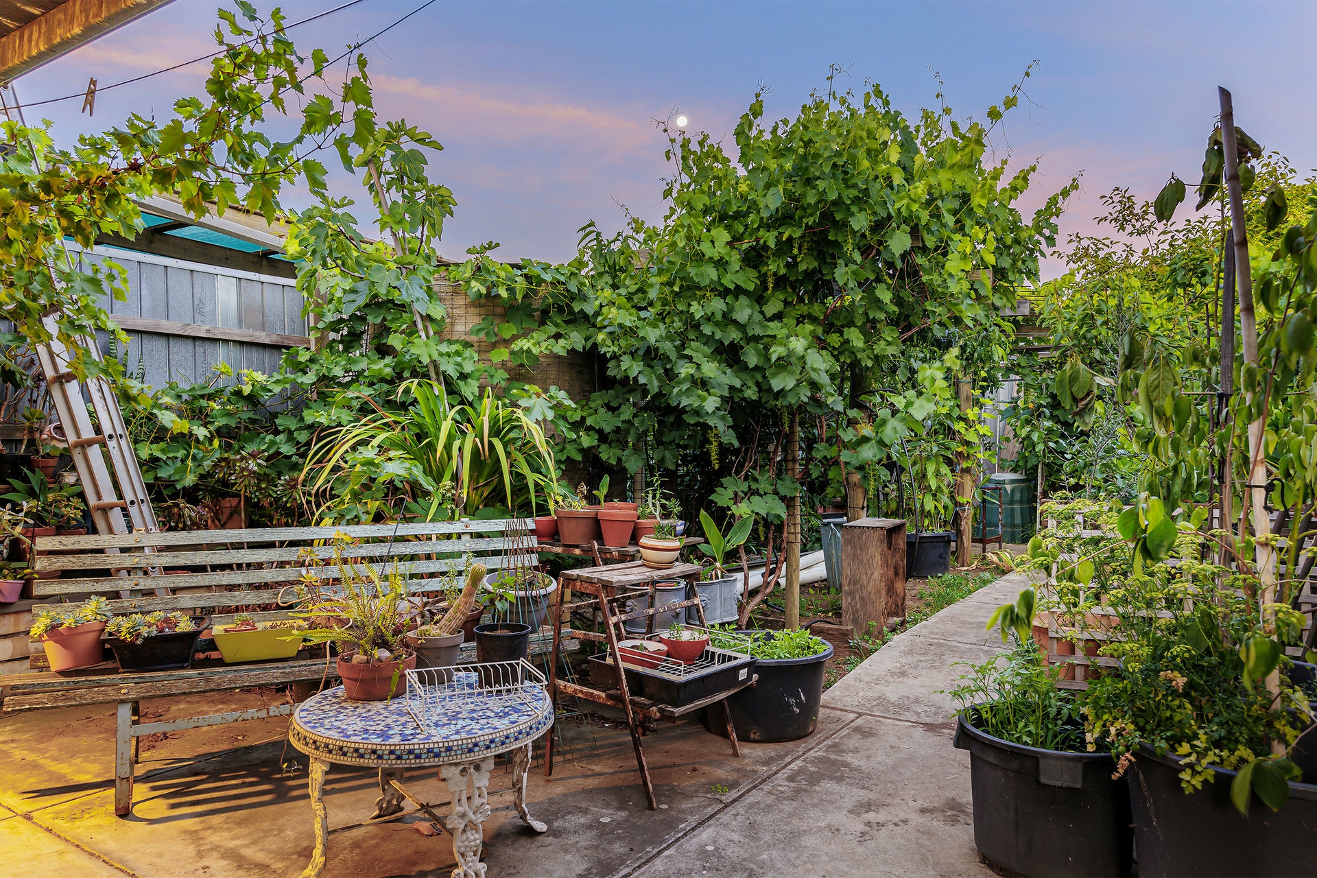 14 & 14A East Street, TORRENSVILLE