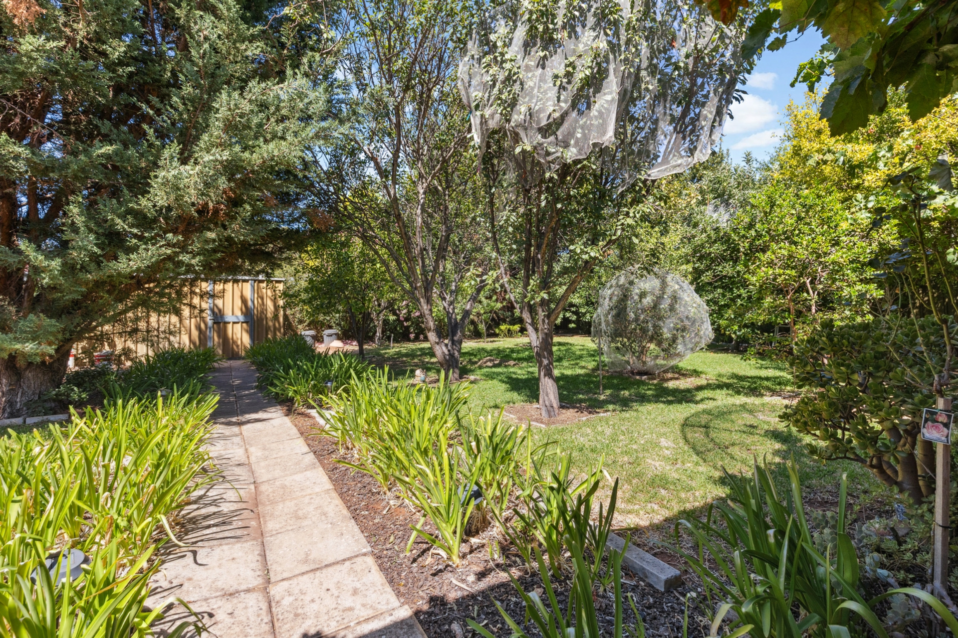 14 Dartmouth Street, DAVOREN PARK