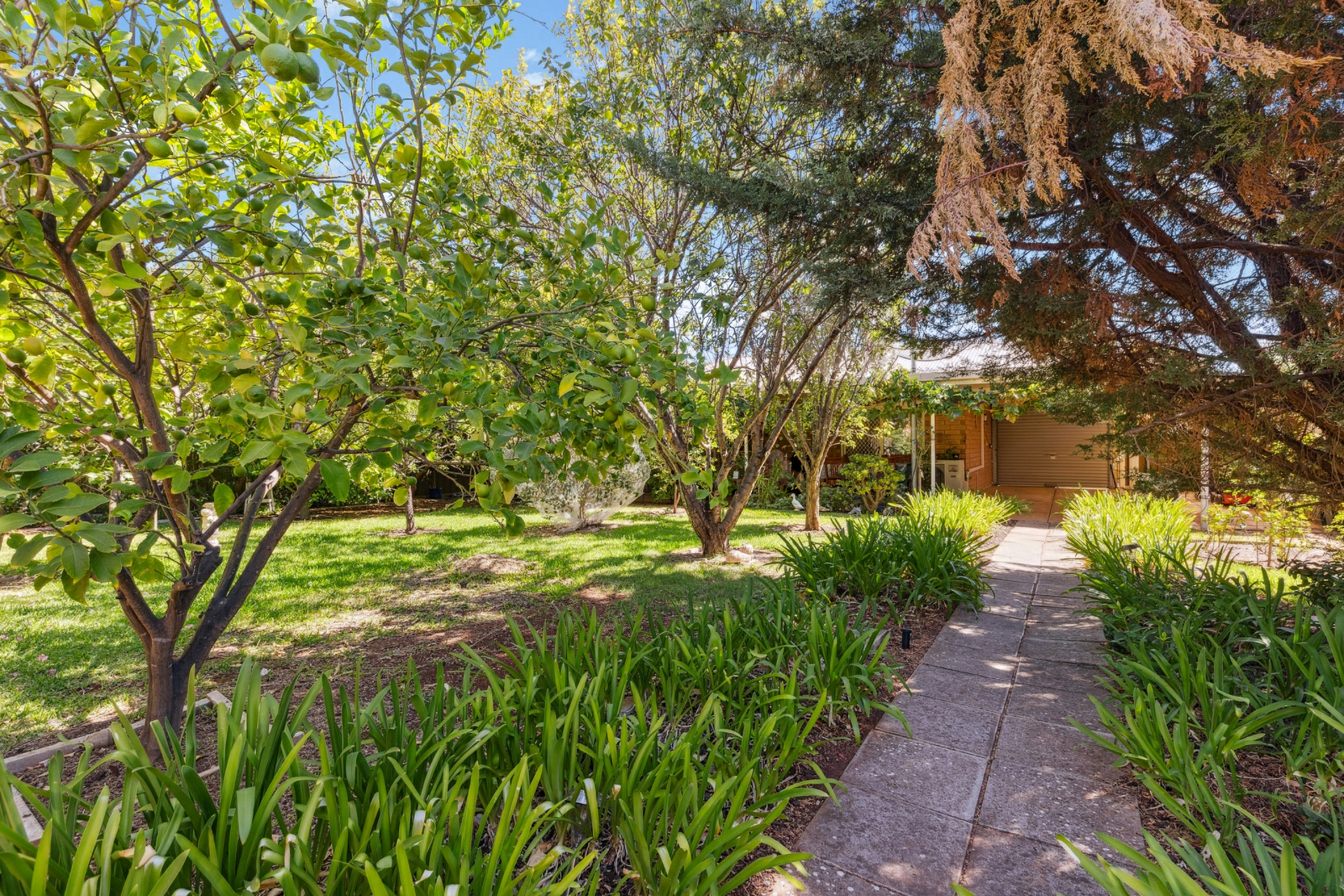 14 Dartmouth Street, DAVOREN PARK