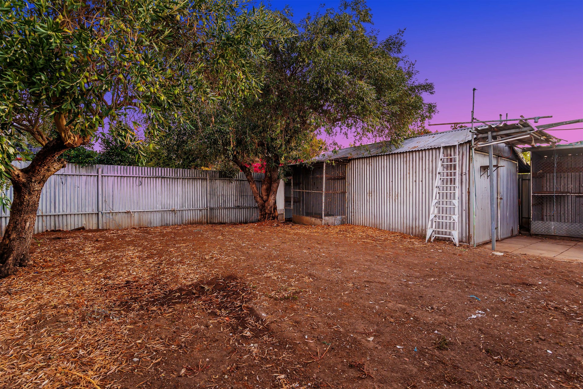 8 Bignell Street, RICHMOND