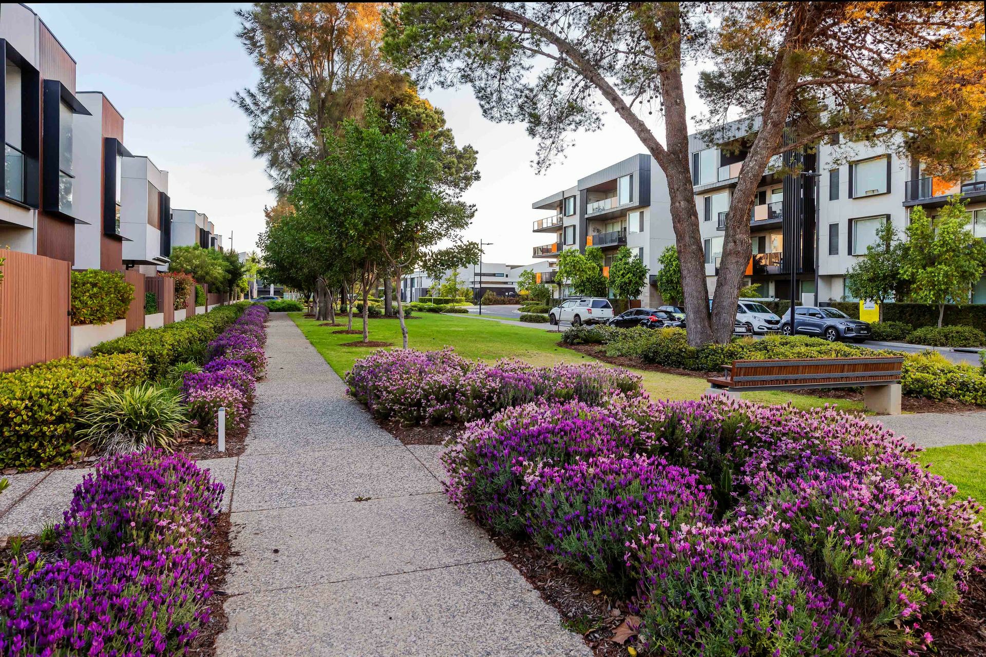 43 Banksia Street — photo 12 of 13