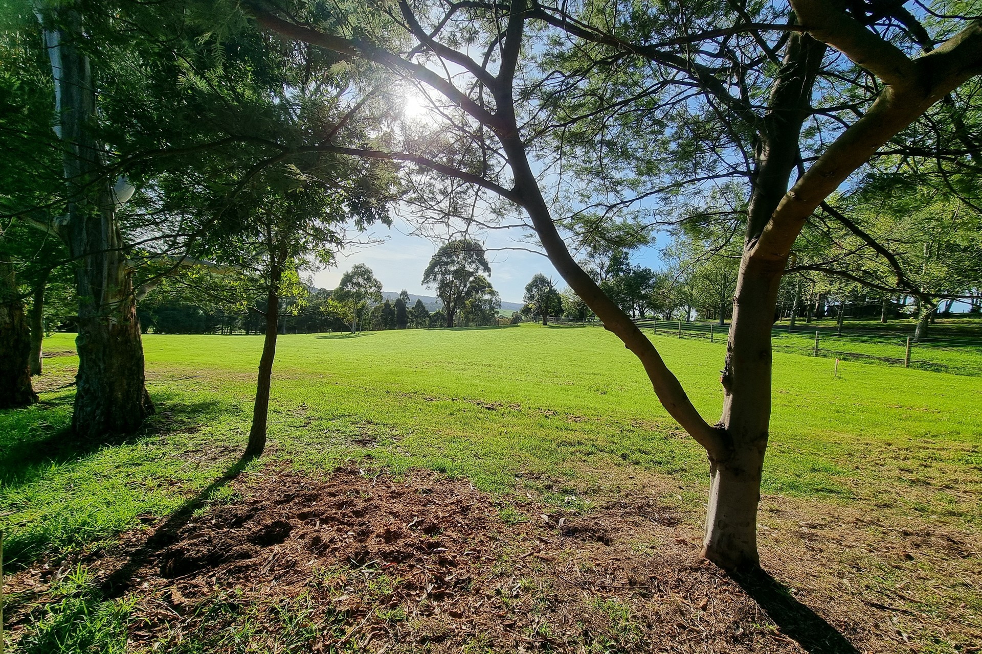 90 Beaumont Road Berwick VIC Residential for Sale LJ Hooker