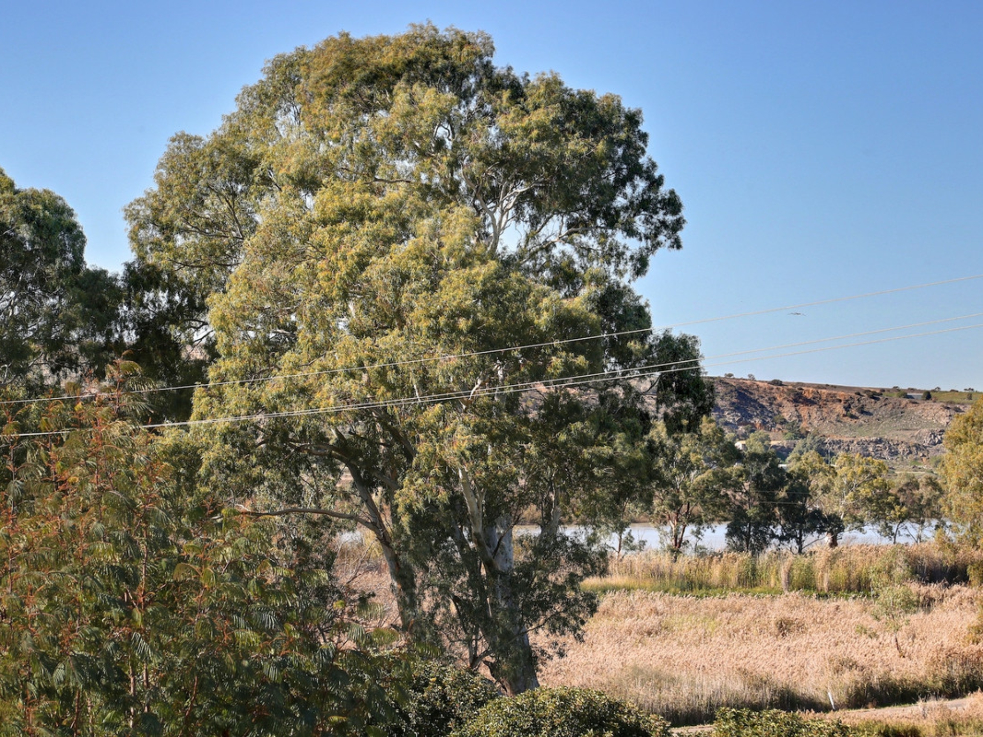 2 Murray Avenue, WOODLANE