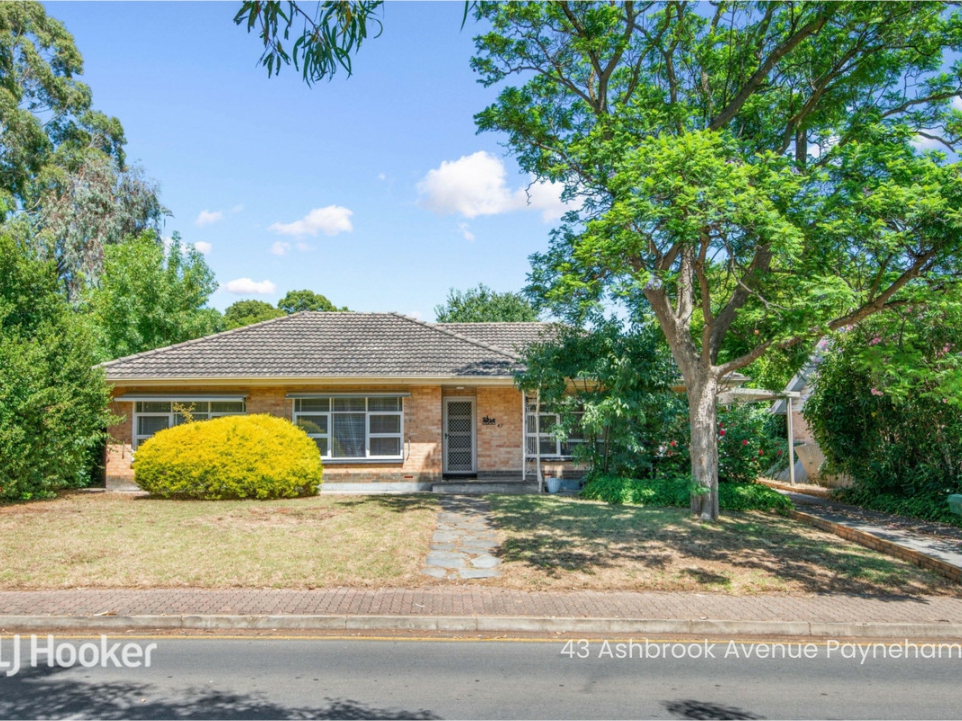 41 Ashbrook Avenue, PAYNEHAM