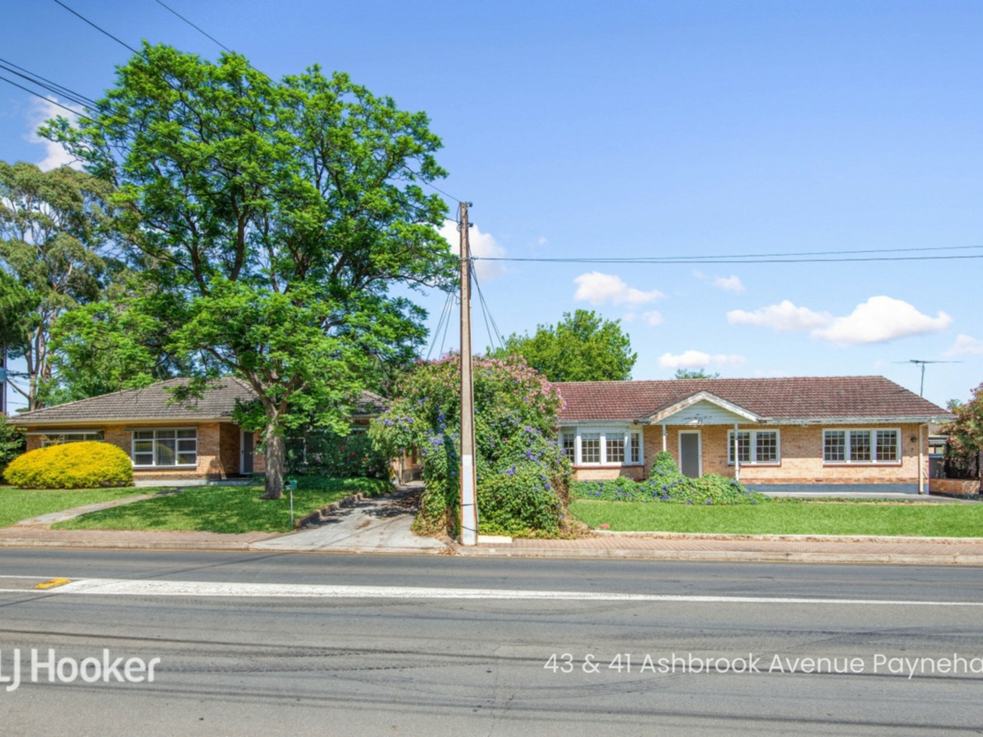 41 Ashbrook Avenue, PAYNEHAM