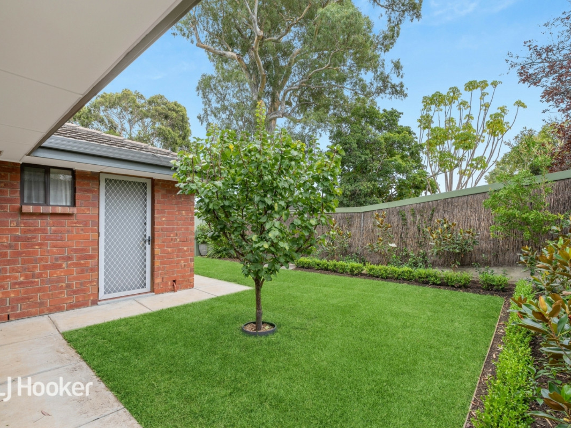 3/23 Orange Grove, KENSINGTON PARK