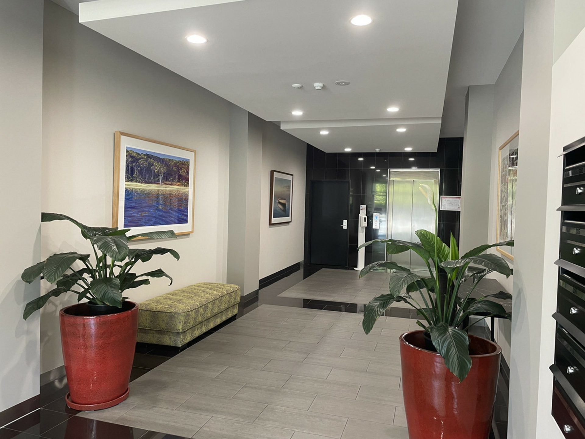 205/293 Angas Street, ADELAIDE