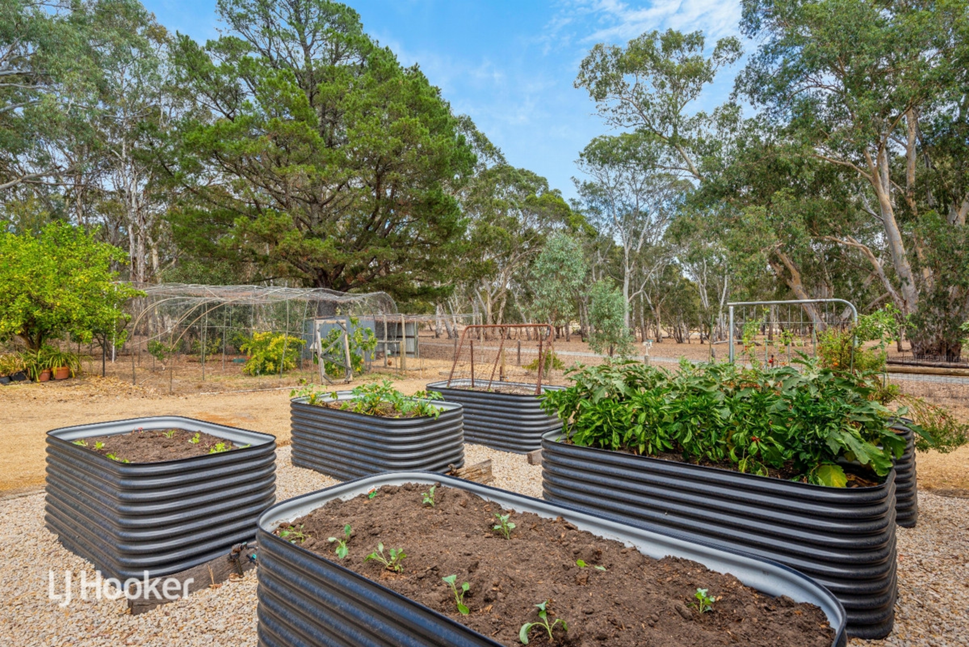 585 Hawthorn Road, ECHUNGA
