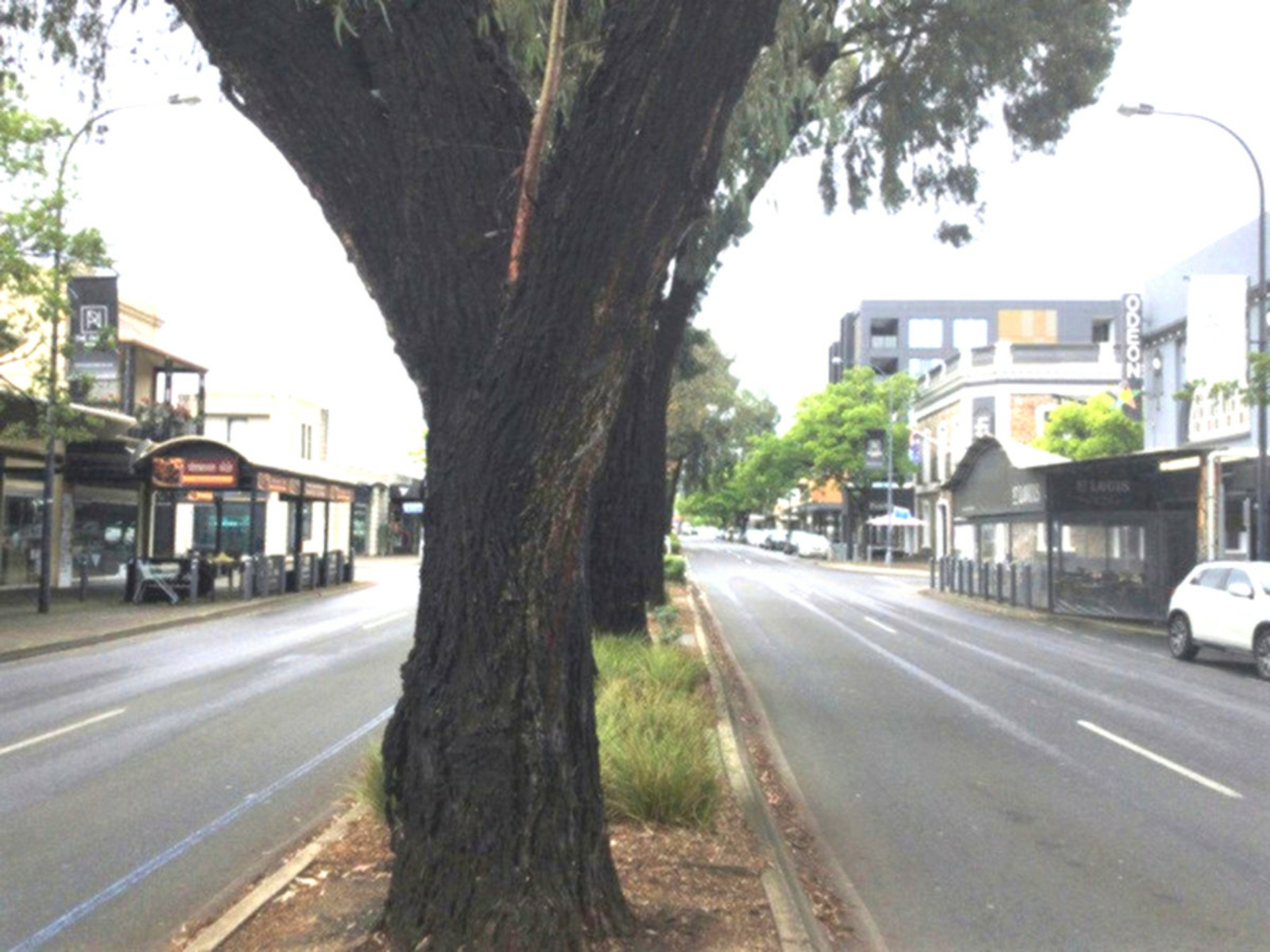 21 & 23 Cairns Street, NORWOOD
