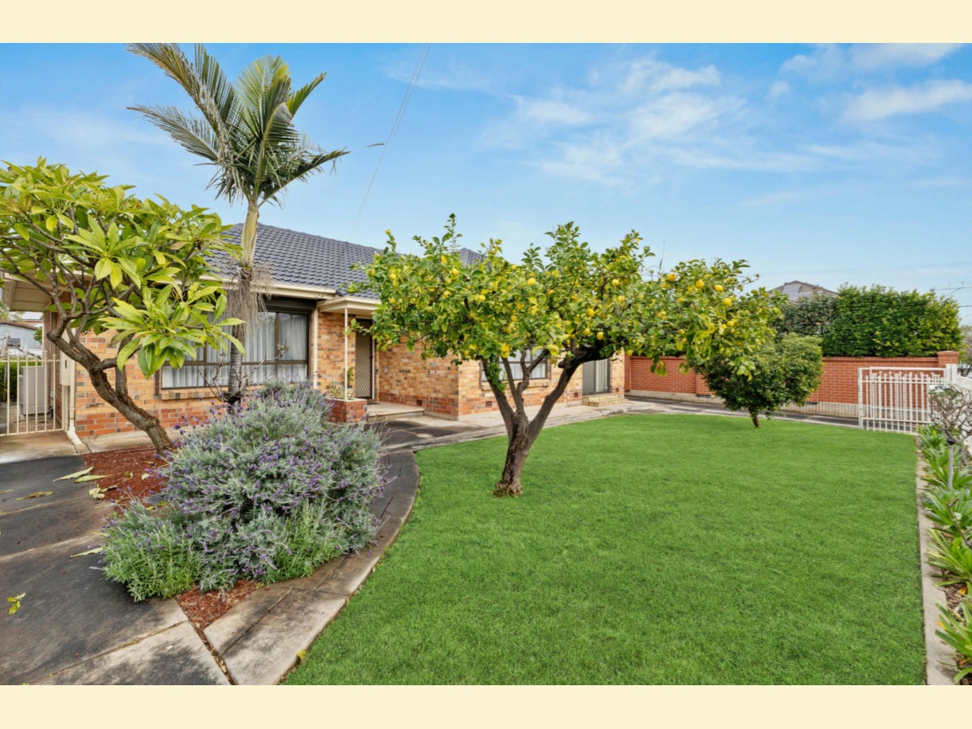 64 Alexander Avenue — photo from LJ Hooker Kensington | Unley