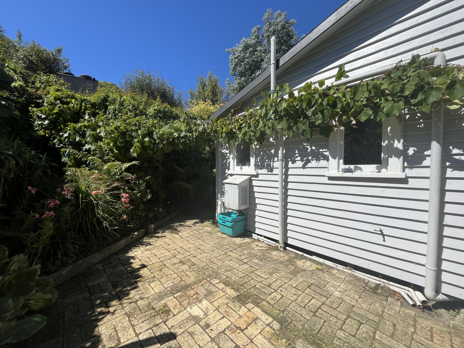 1141 Rotowaro Road, GLEN AFTON