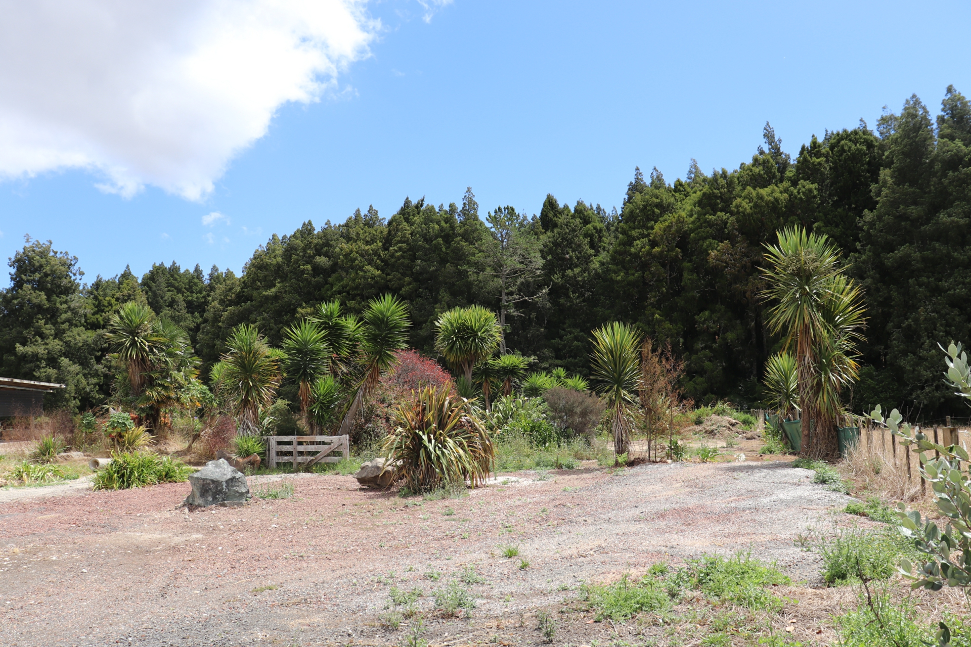 140 Te Mata Road, RAGLAN