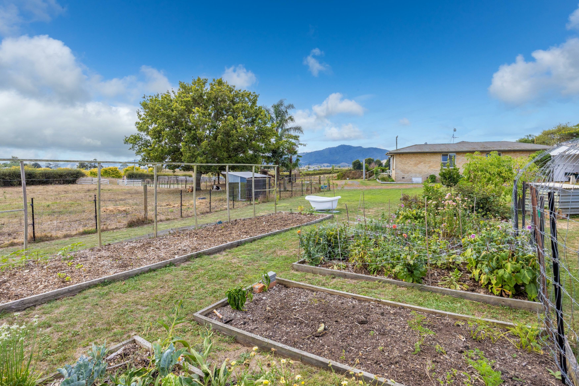 194 Proctor Road, ORINI
