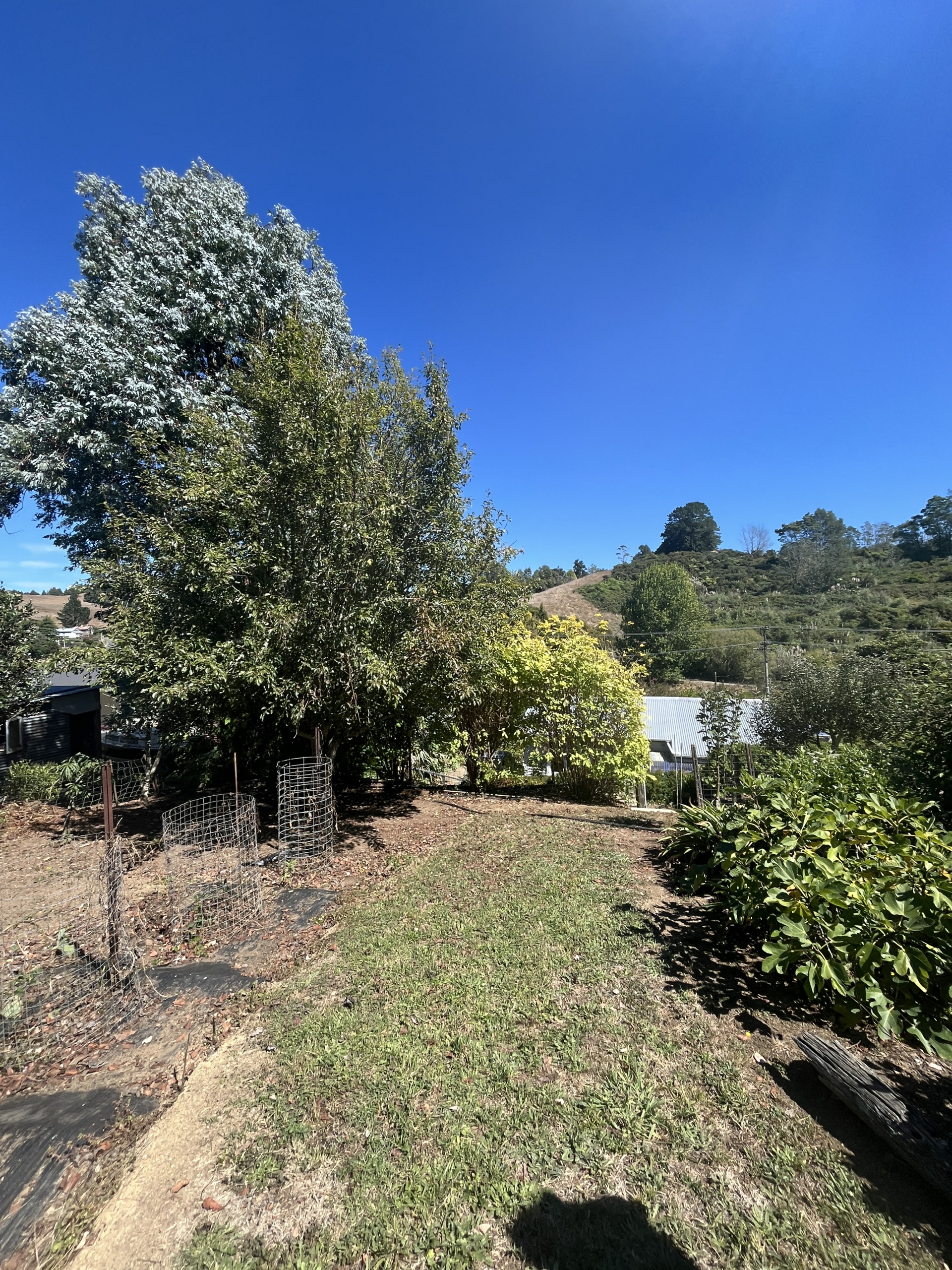 1141 Rotowaro Road, GLEN AFTON