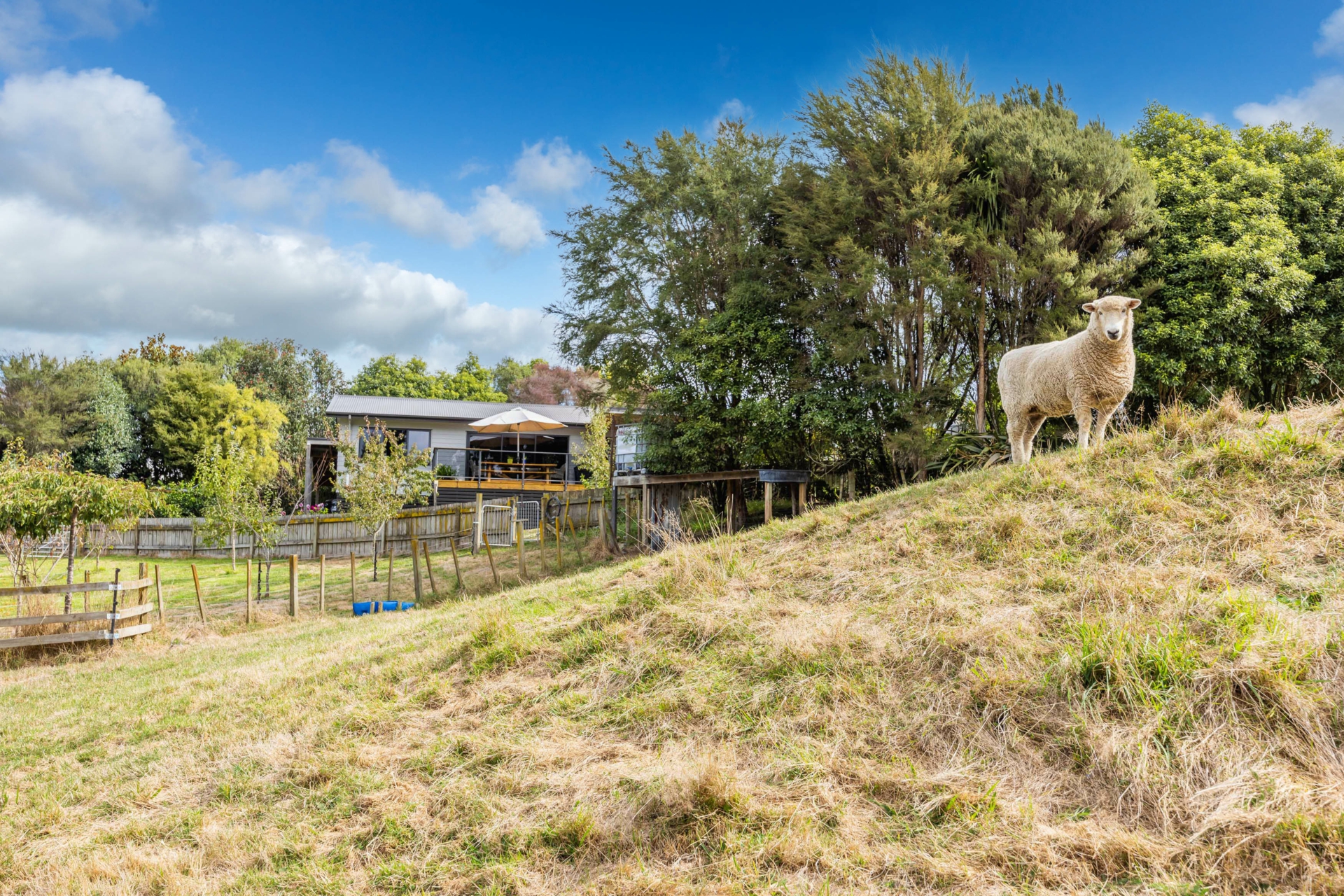 624 Hakarimata Road, NGARUAWAHIA