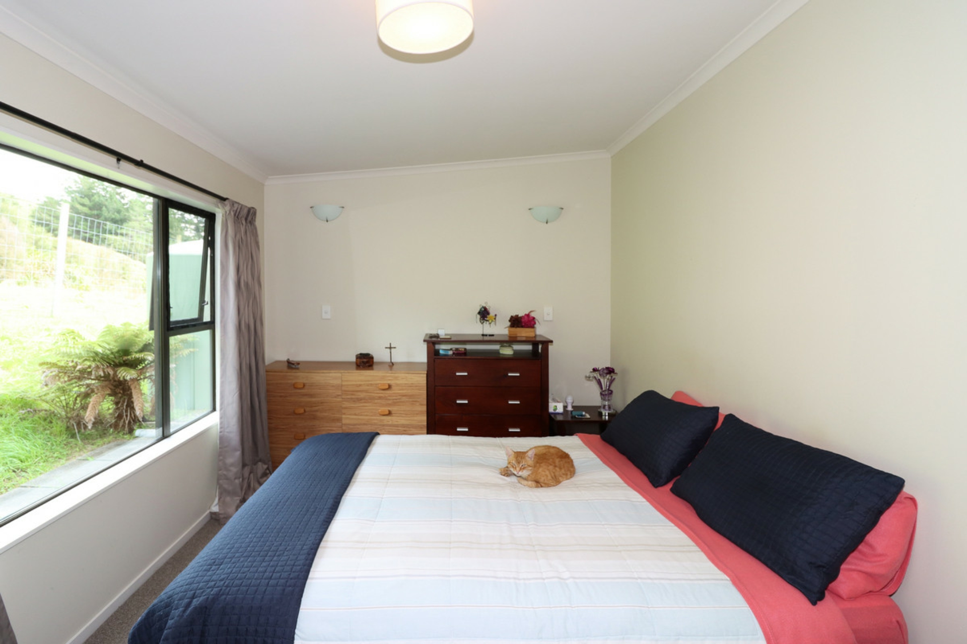 1549 Pack Spur Road, TINUI