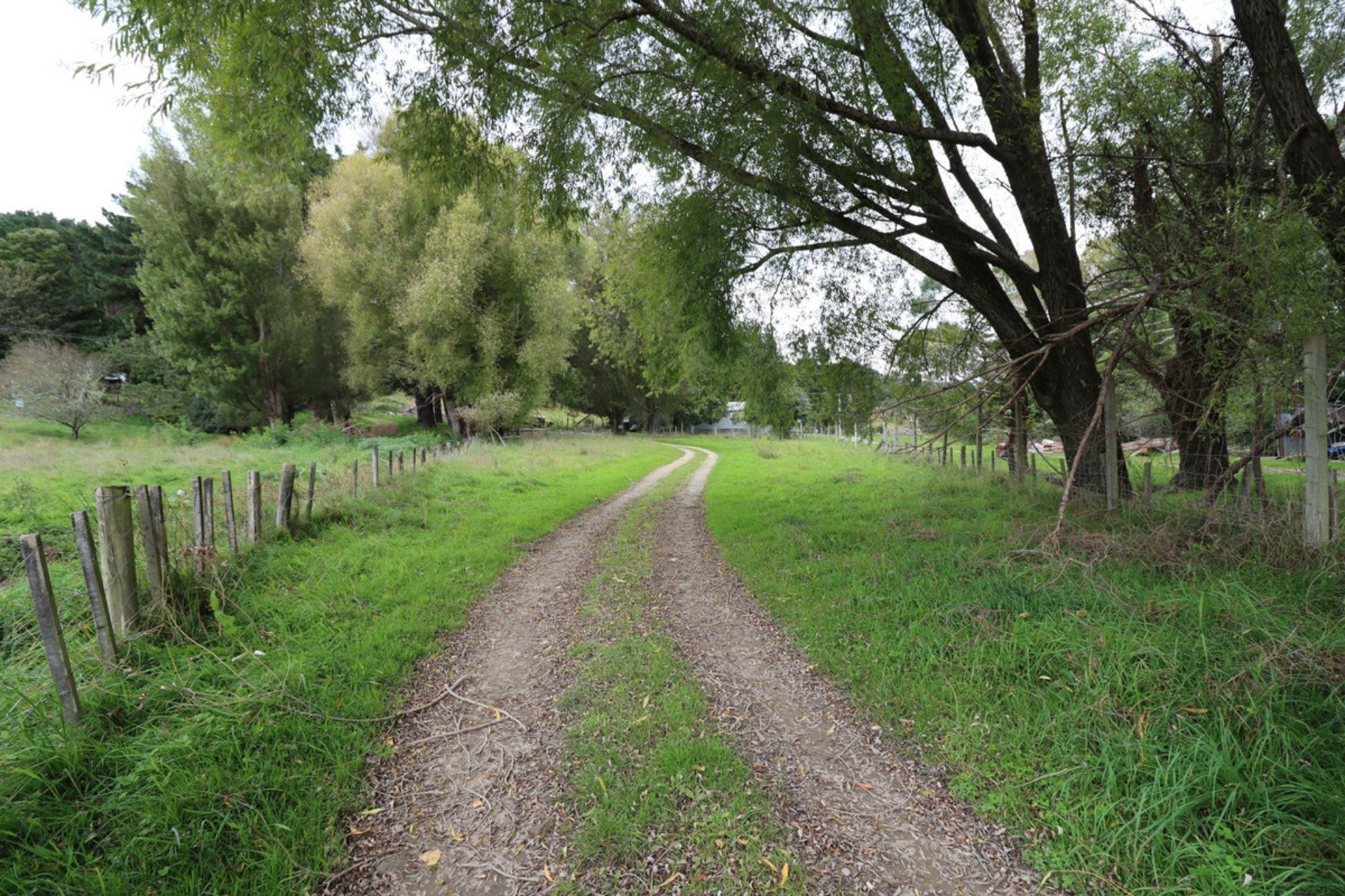 1549 Pack Spur Road, TINUI