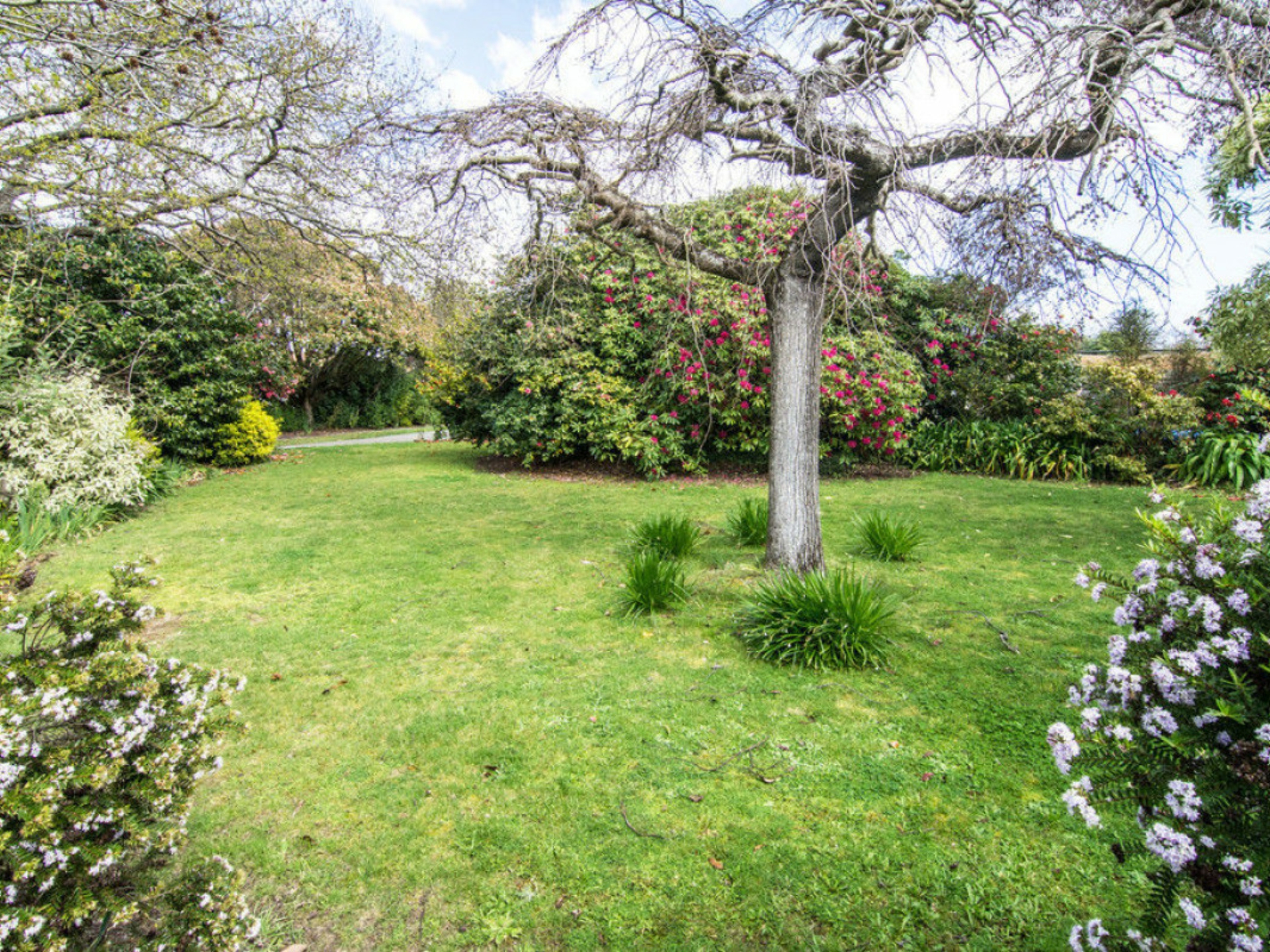 38 French Street, MASTERTON