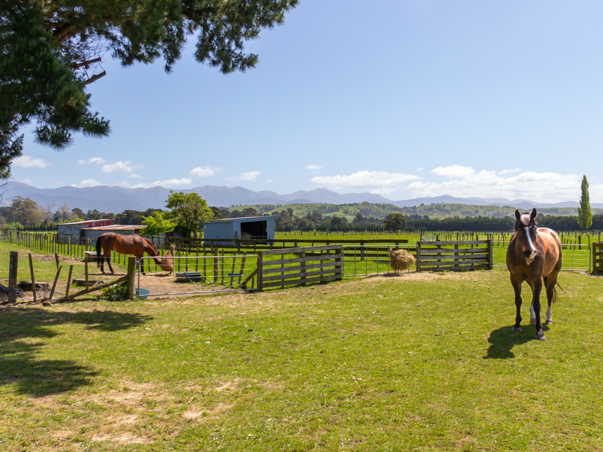 49 Budd Road, MASTERTON