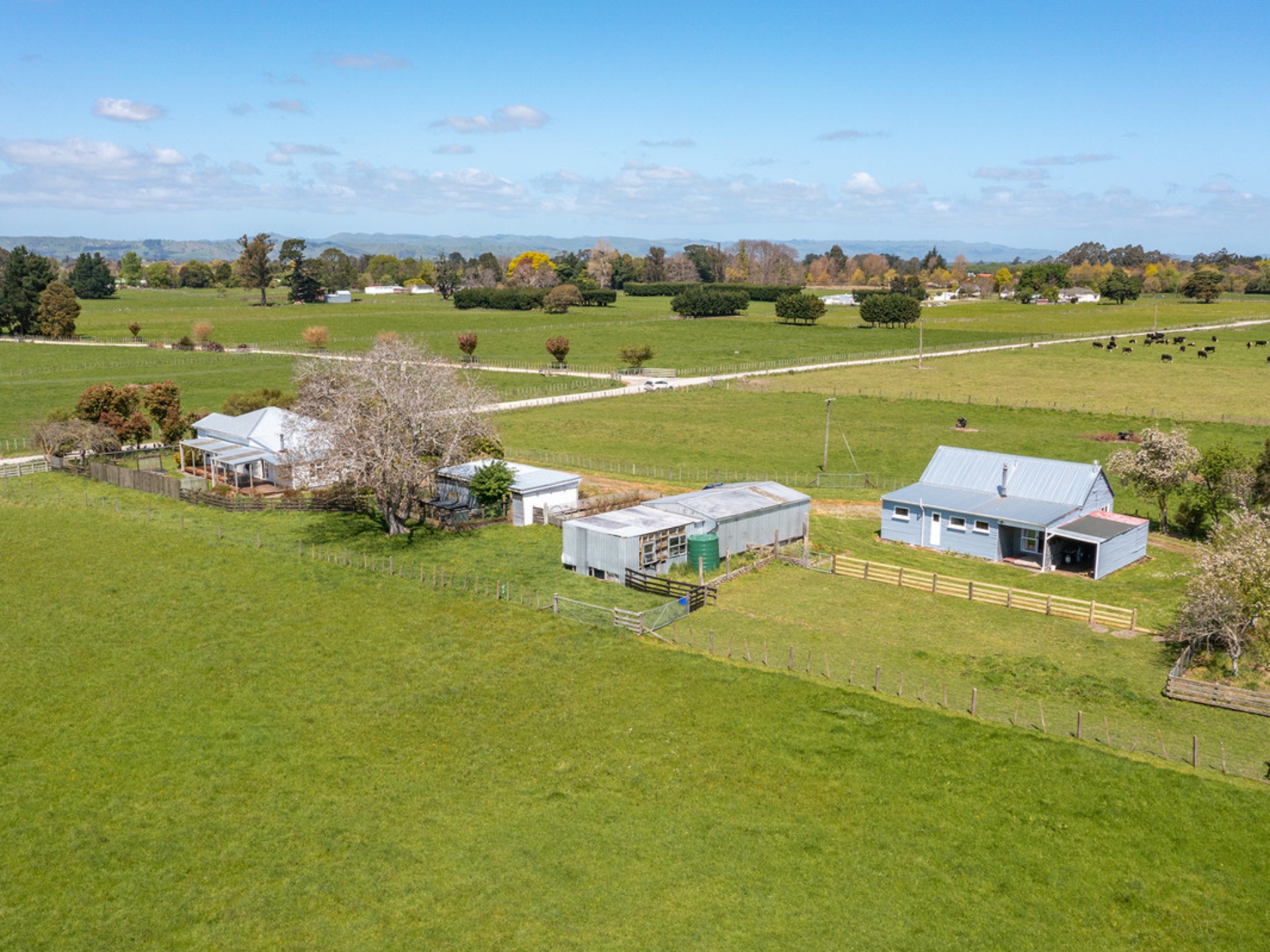 49 Budd Road, MASTERTON