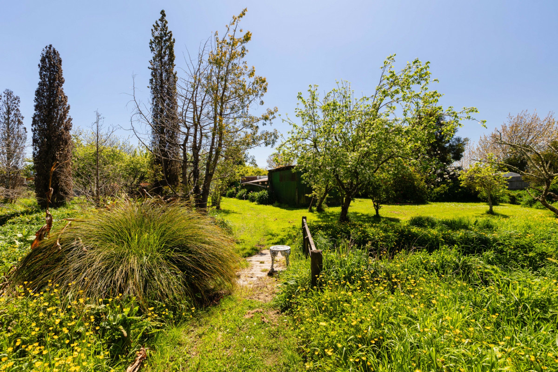 93A Harley Street, MASTERTON