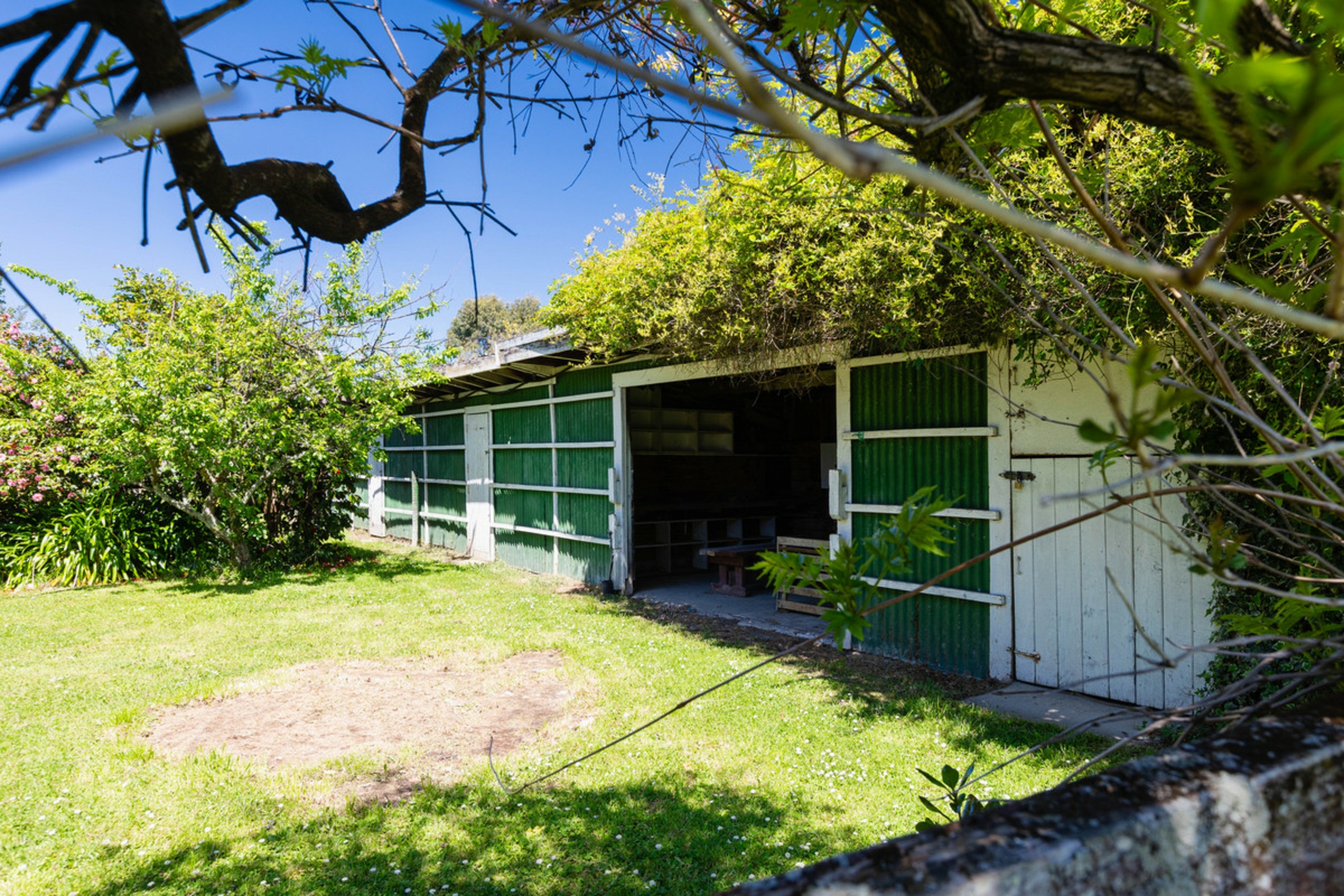 93A Harley Street, MASTERTON