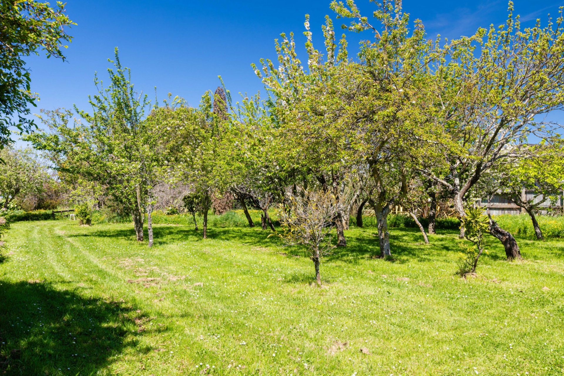 93A Harley Street, MASTERTON