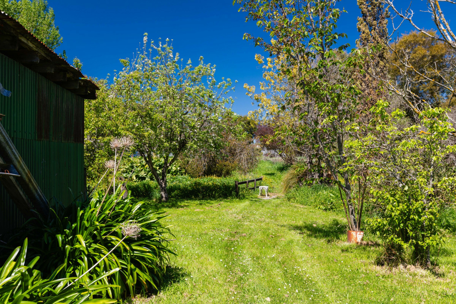 93A Harley Street, MASTERTON