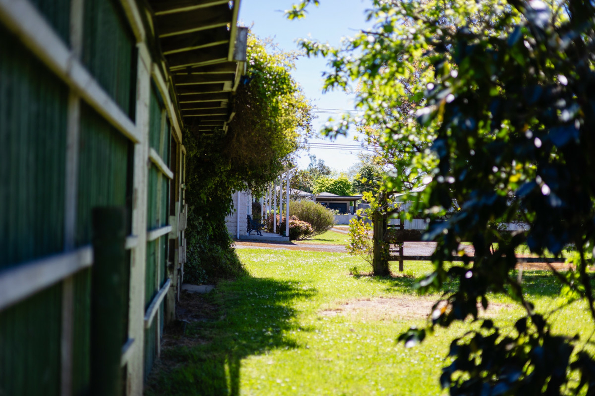 93A Harley Street, MASTERTON