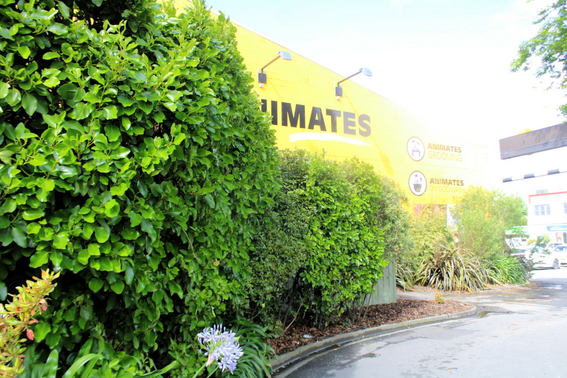 60 Chapel Street Masterton Property Details LJ Hooker